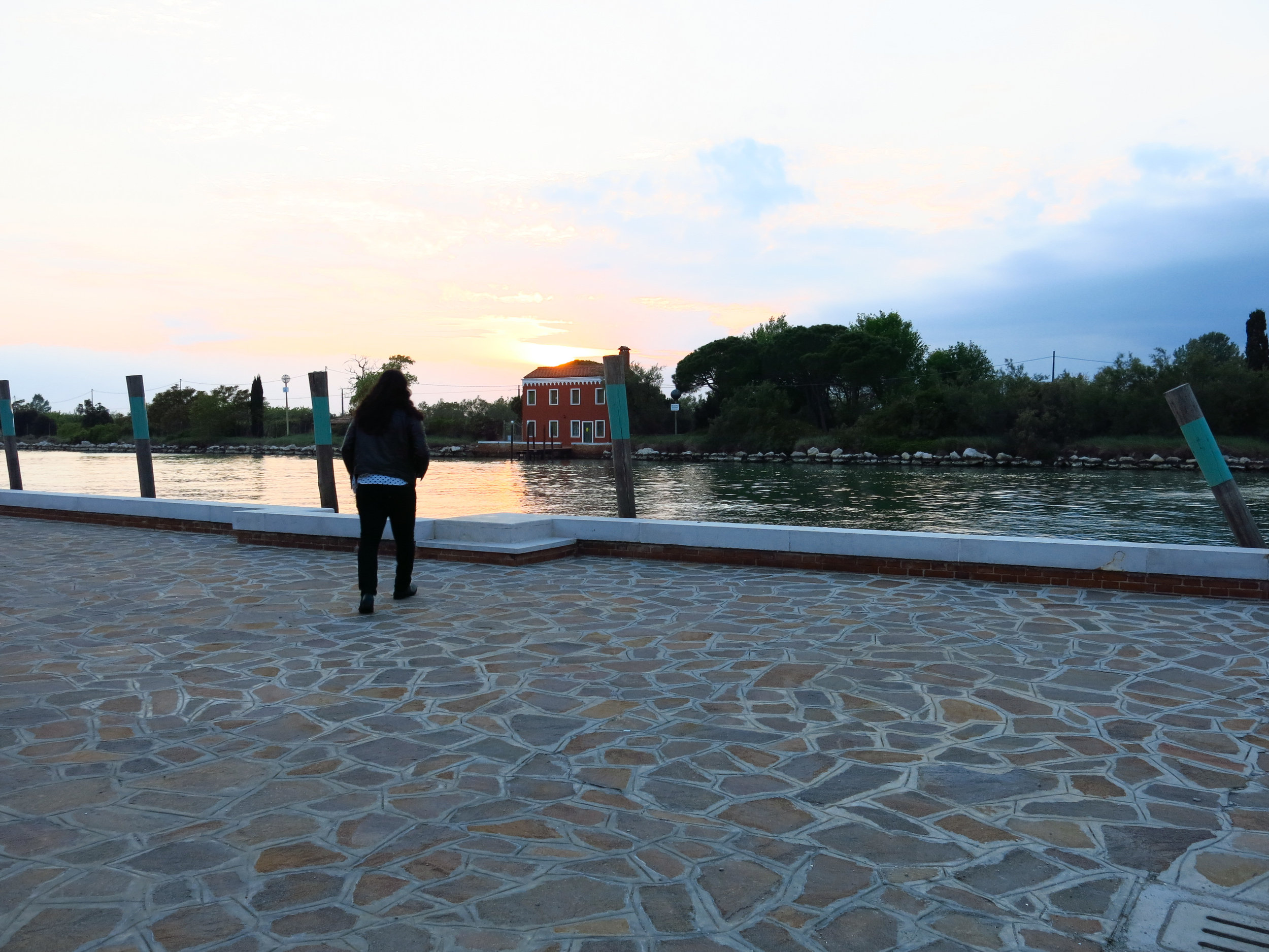 Venice2 2017-6.jpg