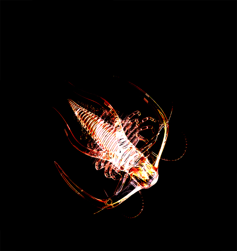 The Winds, The Waves, The Tides, and Gravity
