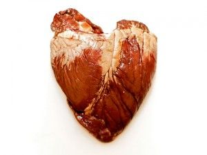 Did you know that an animal will eat the organs first? Is it because they are most accessible, or do they instinctively know the health benefits?