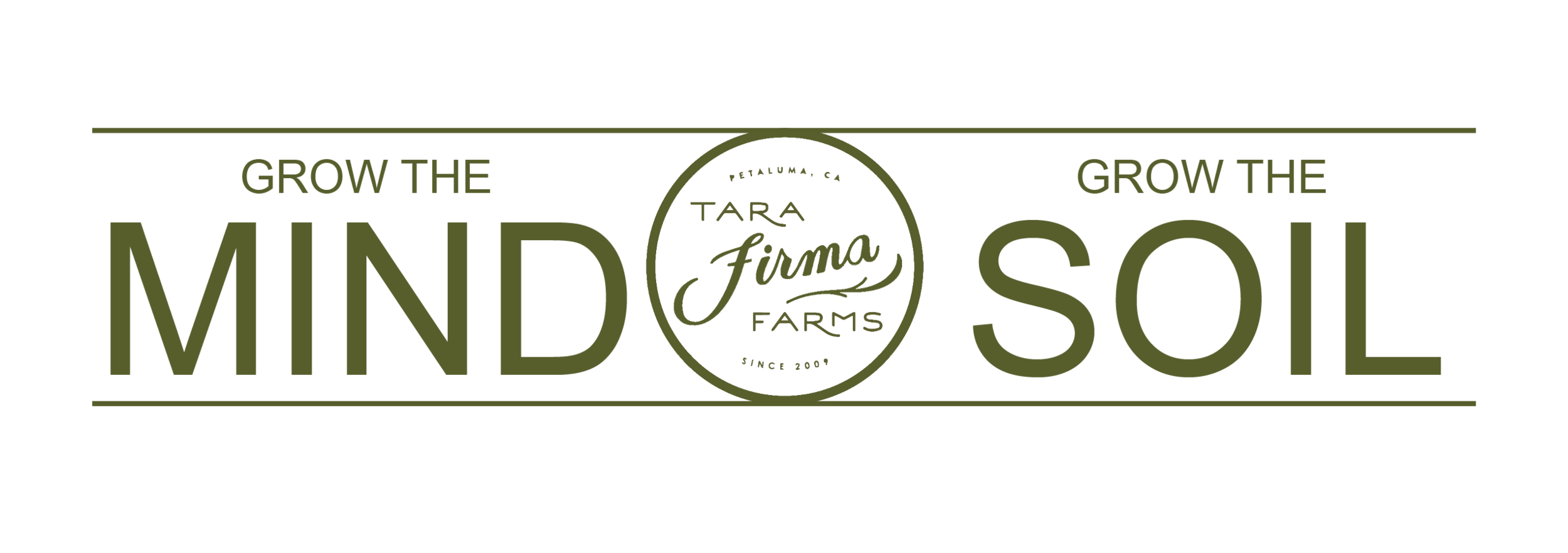 TFF banner.png