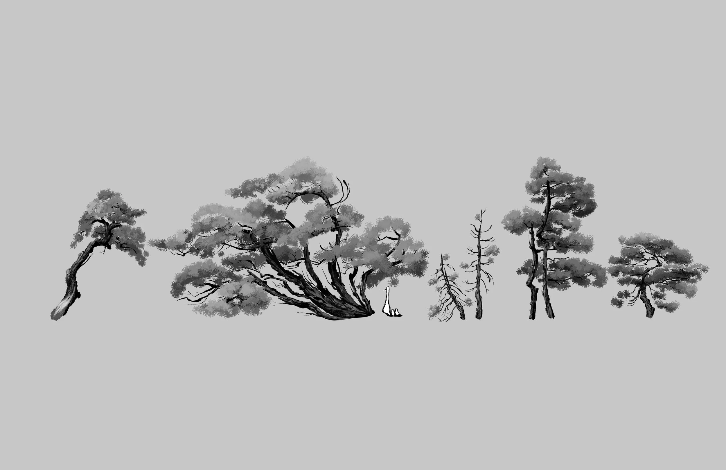 sapling2.jpg
