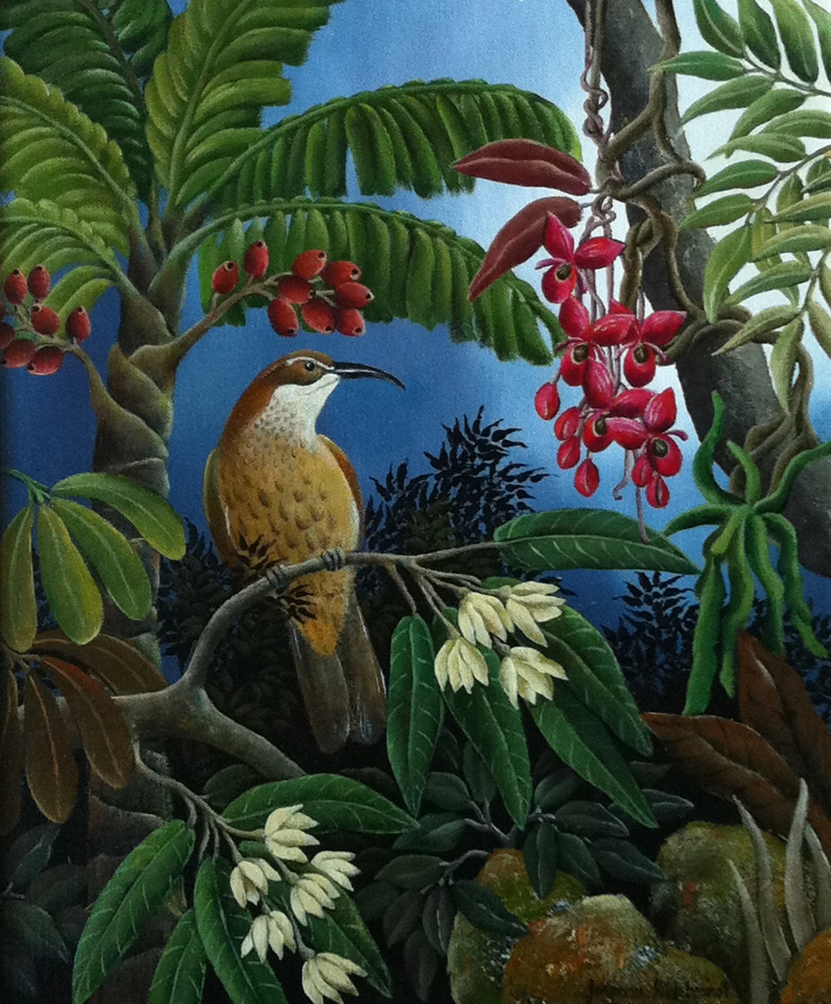 Bird of Paradise - Female