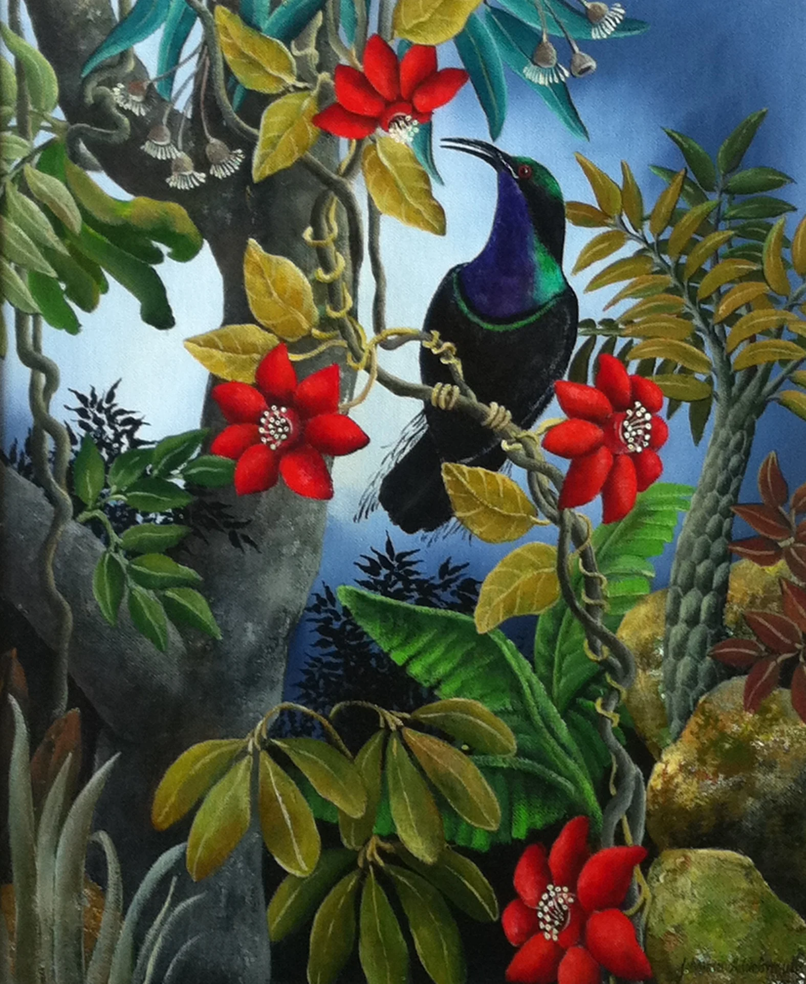 Bird of Paradise (male) - SOLD