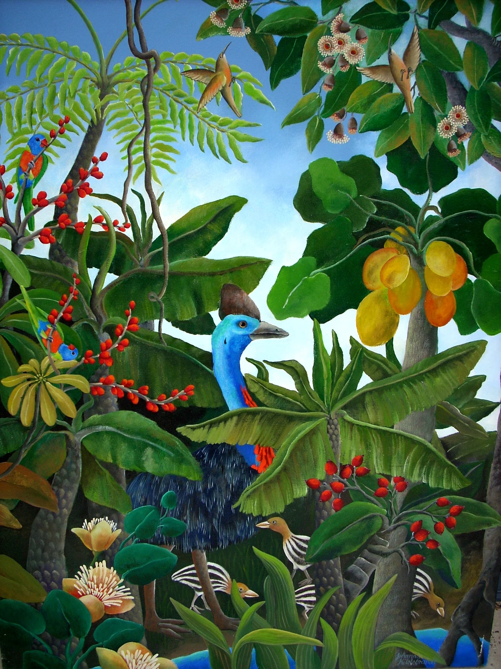 Cassowary and Chicks