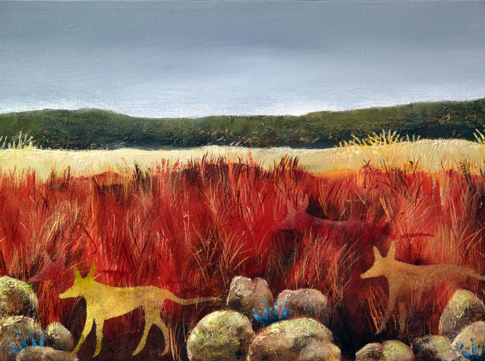 Dingo Vision - SOLD
