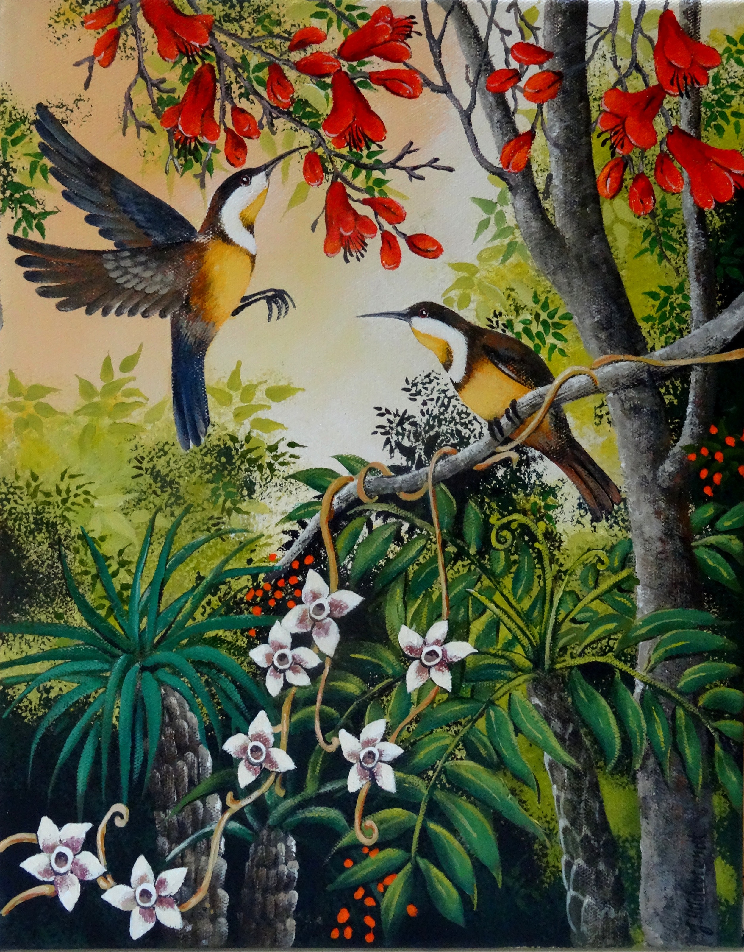 Eastern Spinebill