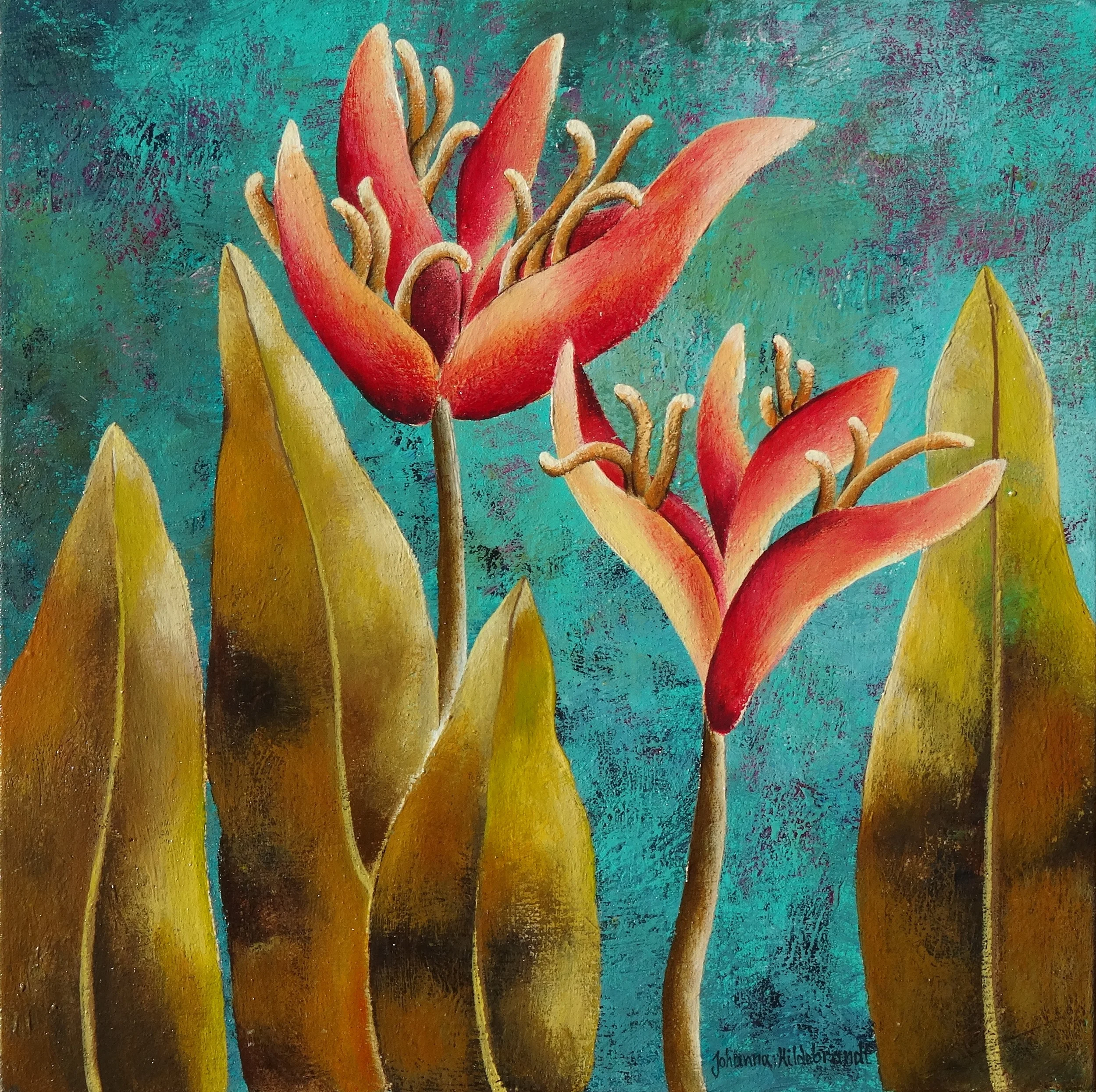 Heliconia