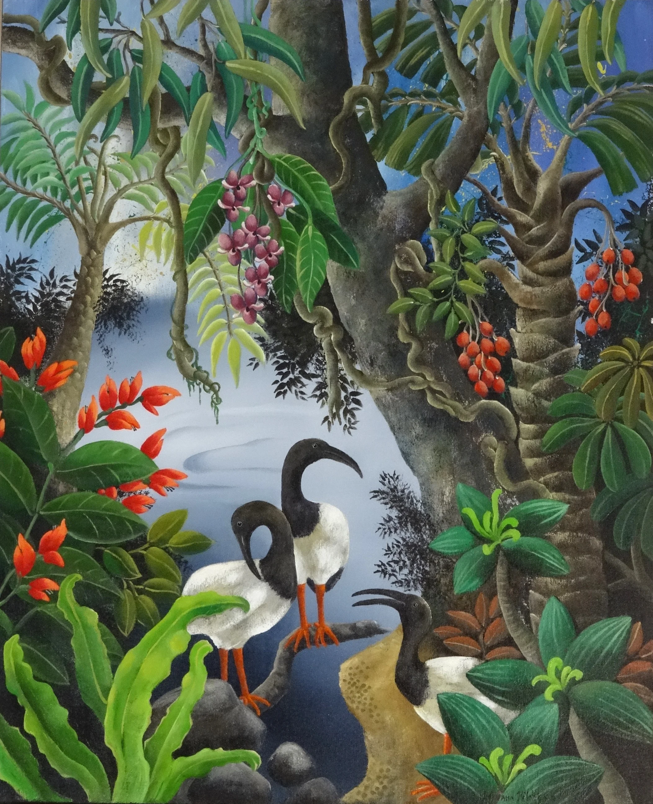 Ibis at the Waterhole