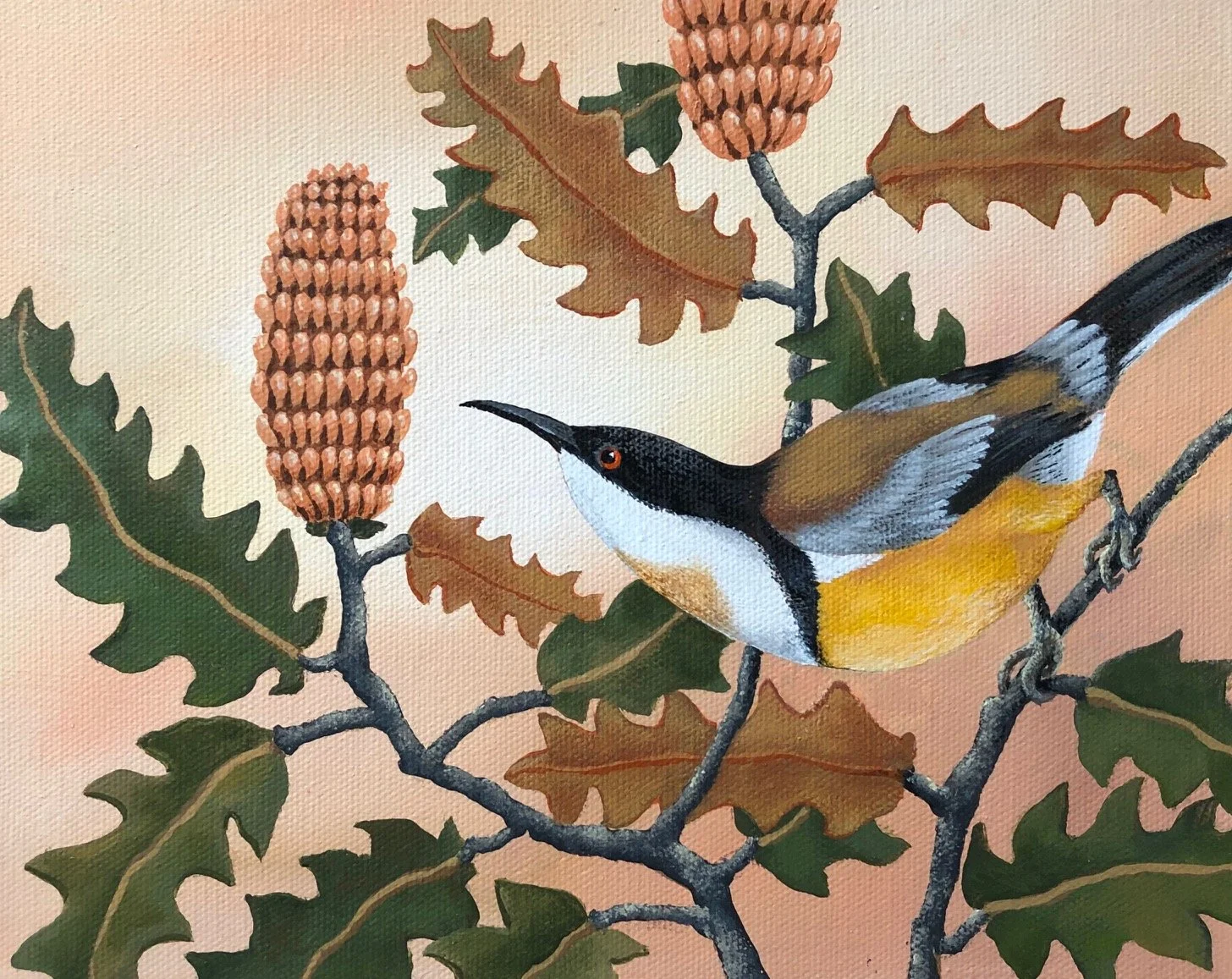 Honeyeater and Banksia - 25cm x 20cm - SOLD