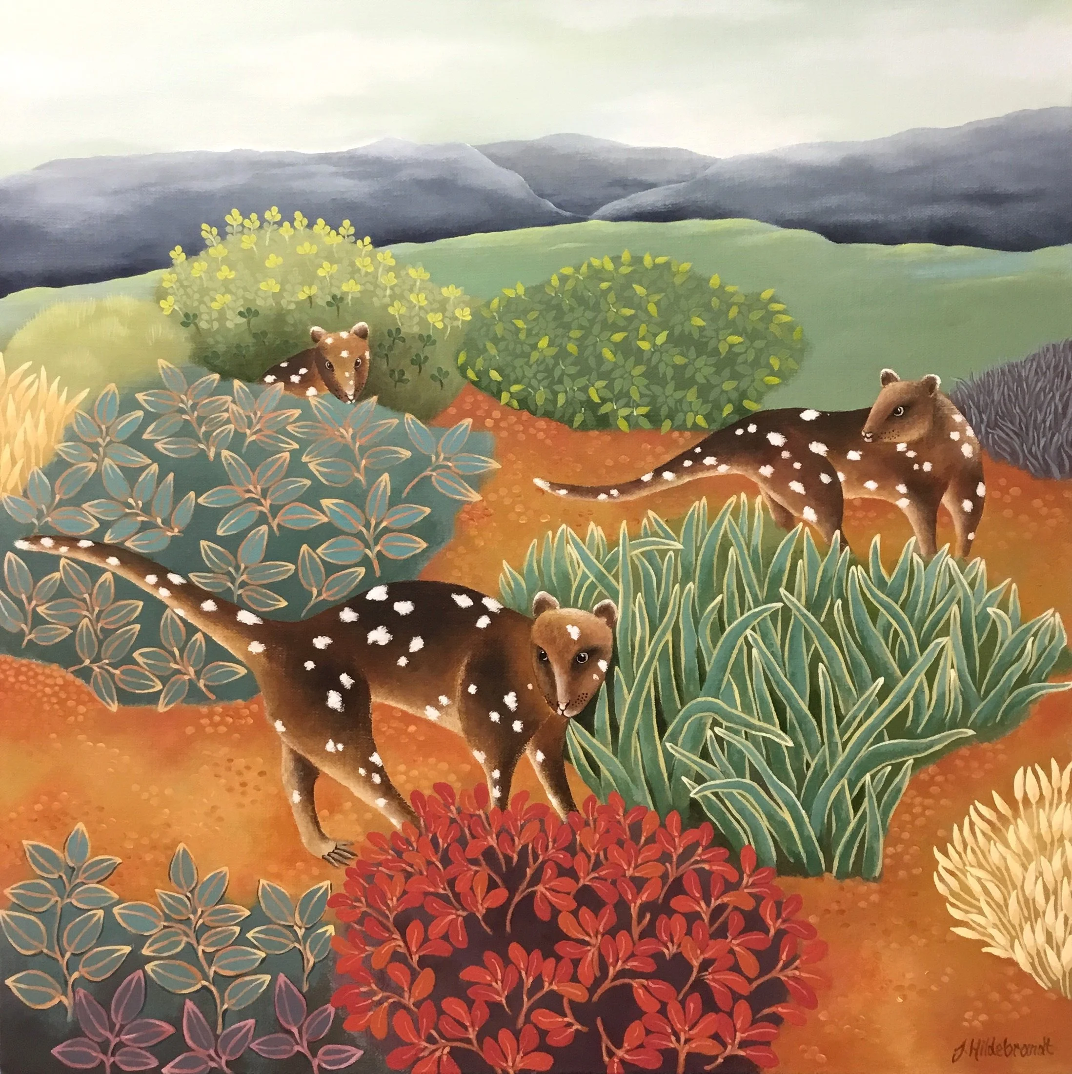 Spotted Quolls 60cm x 60cm - For Sale