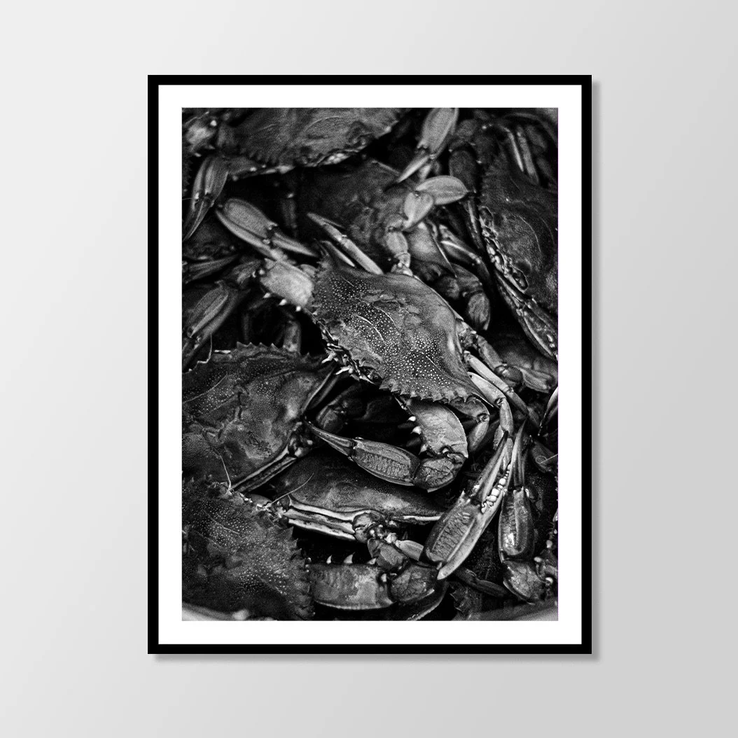 18x24-HrizukPhoto-Calibogue Blue Crab-Framed-Mockup.jpeg