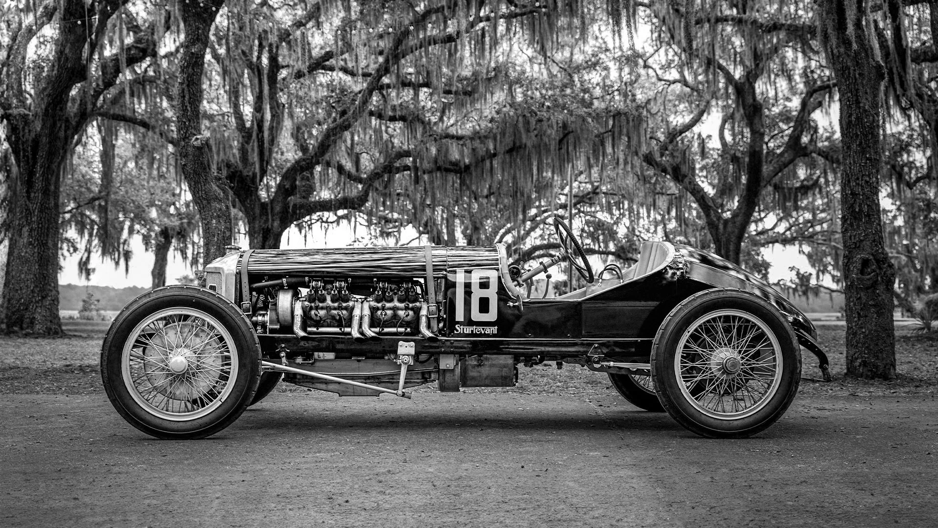 HrizukPhoto-Web-Template-2024-024 BW.jpeg