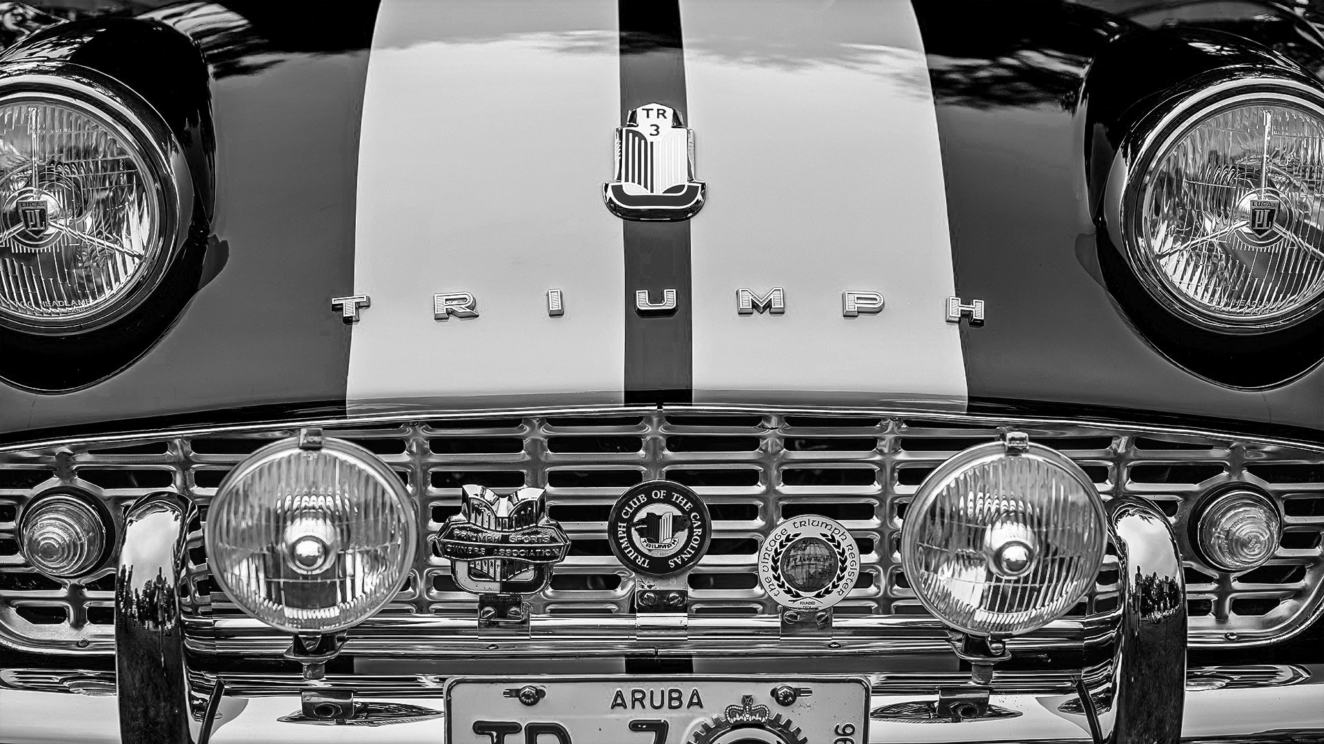 HrizukPhoto-Web-Template-2024-038 BW.jpeg