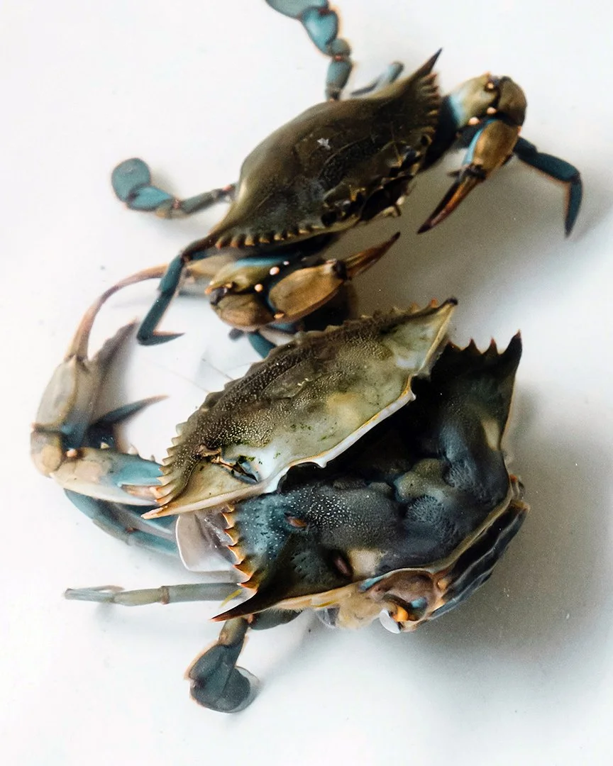 HrizukPhoto -L10909512.jpg