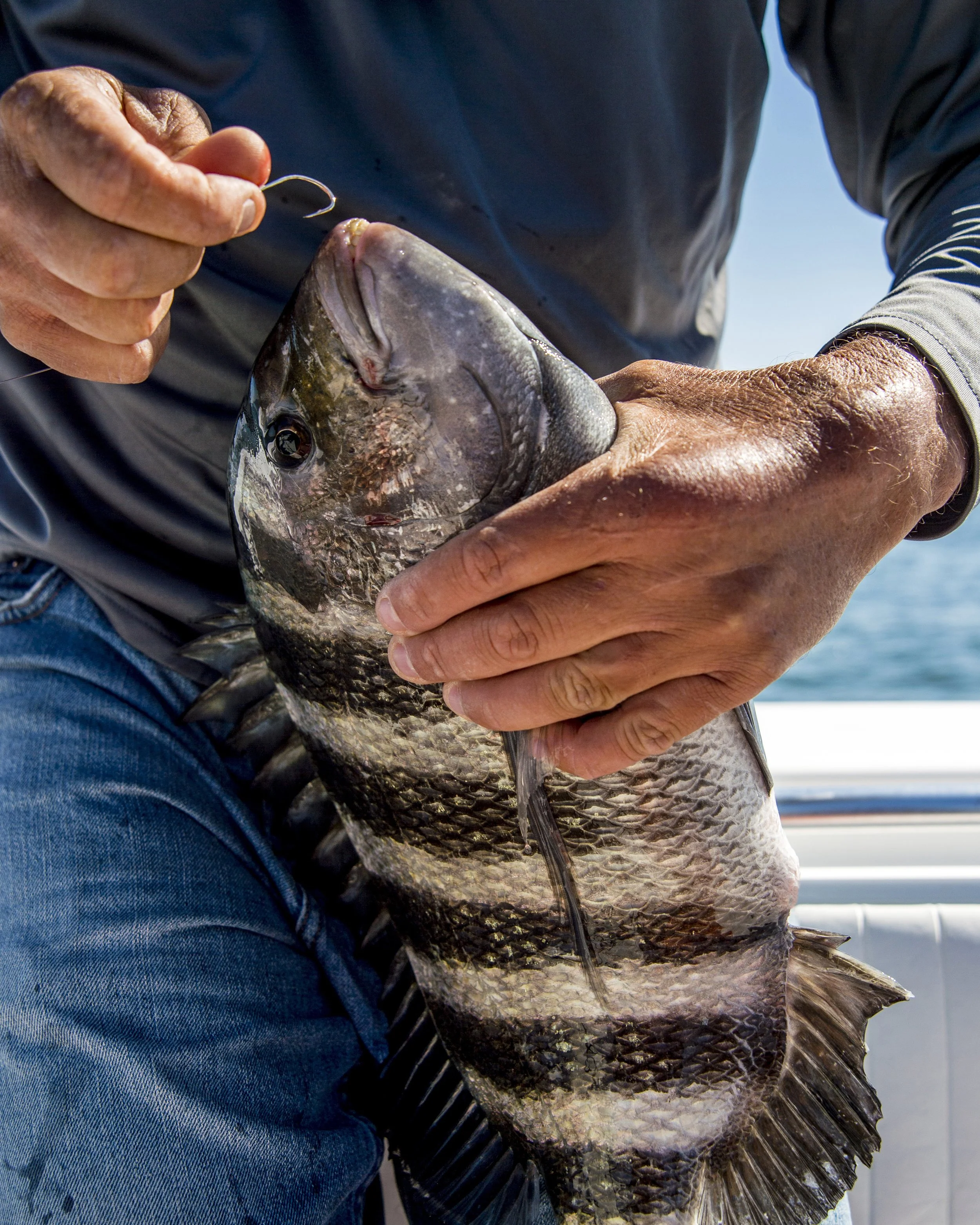 HrizukPhoto - MHP4106.jpg