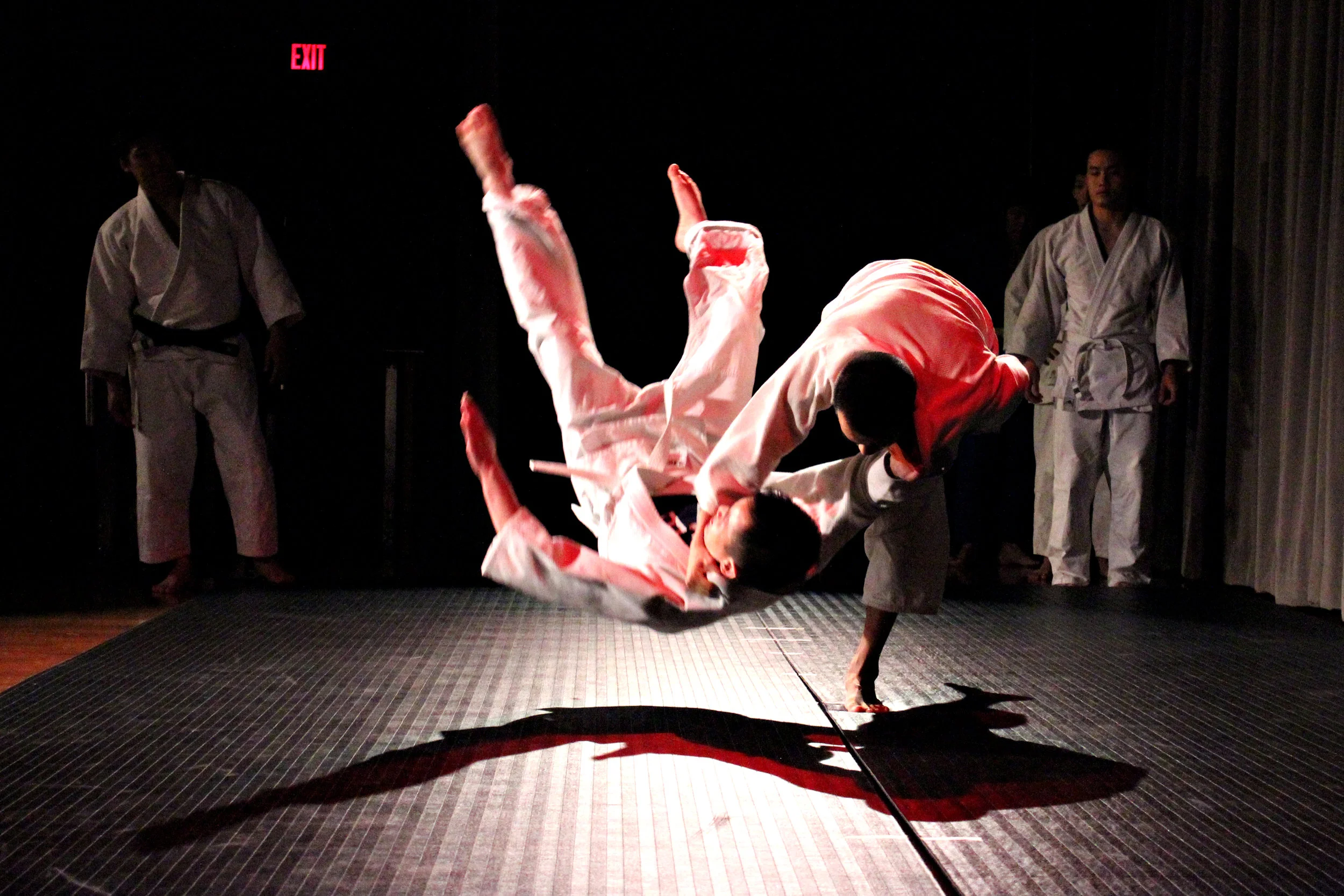 2012-04-24_Multicultural_Show_Pu.Ying.Huang12897.jpg