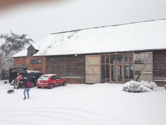 snow2013.jpg