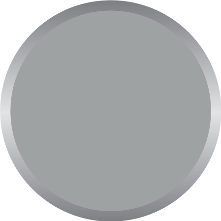 Light Grey PMS 7543C