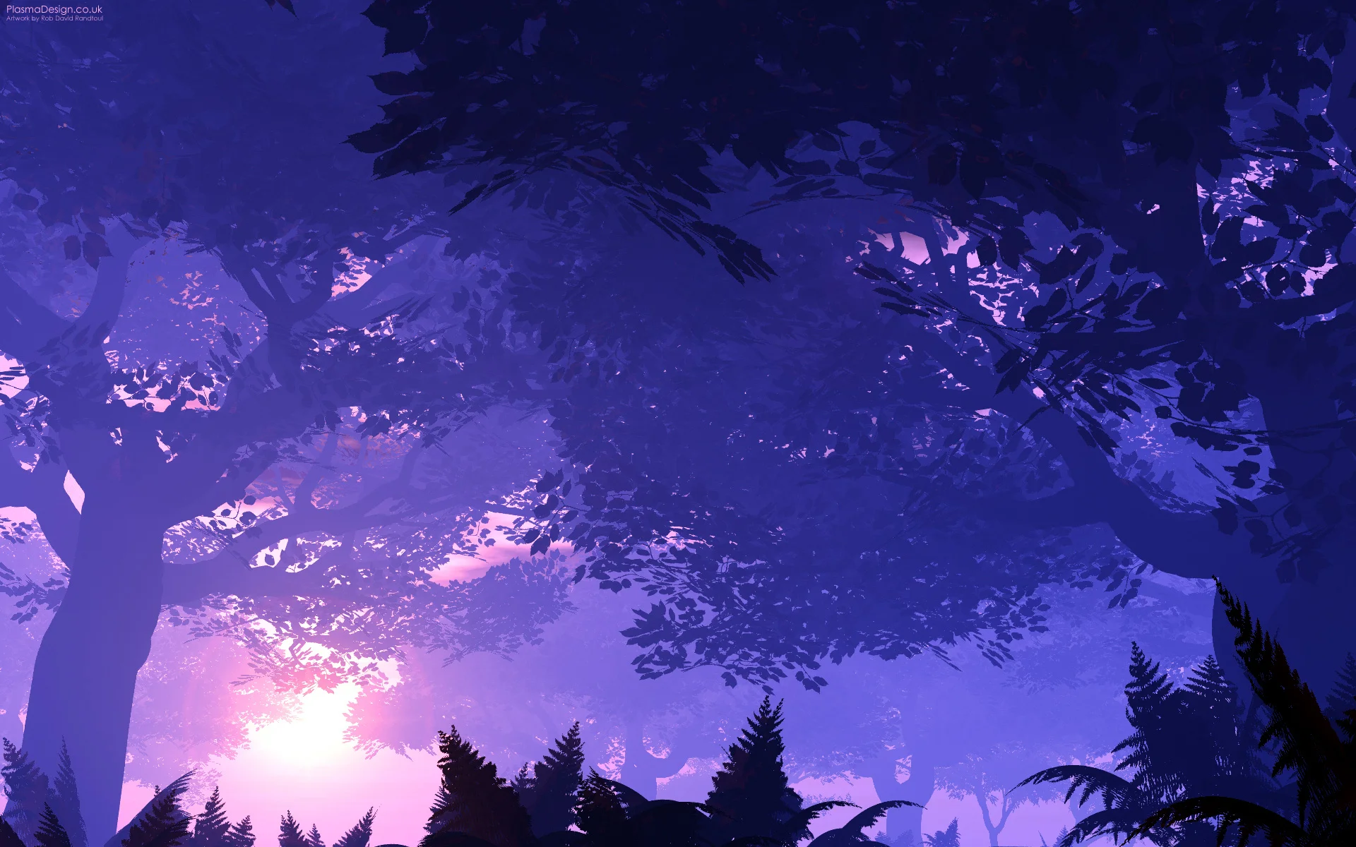 Canopy