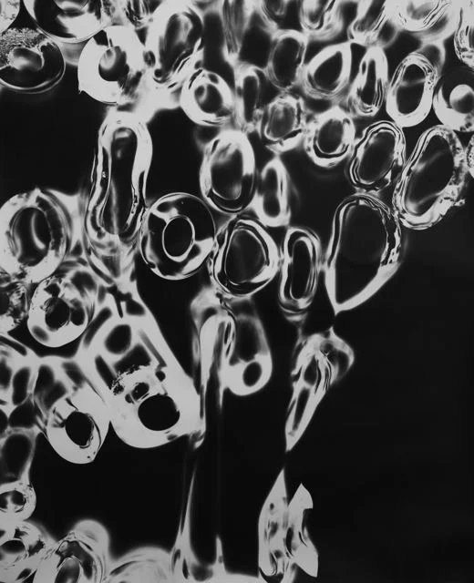 tube photogram.jpg