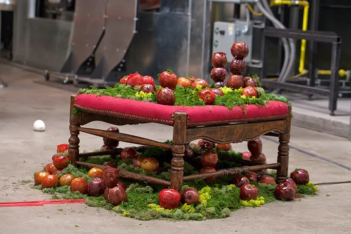 appleholly.jpg