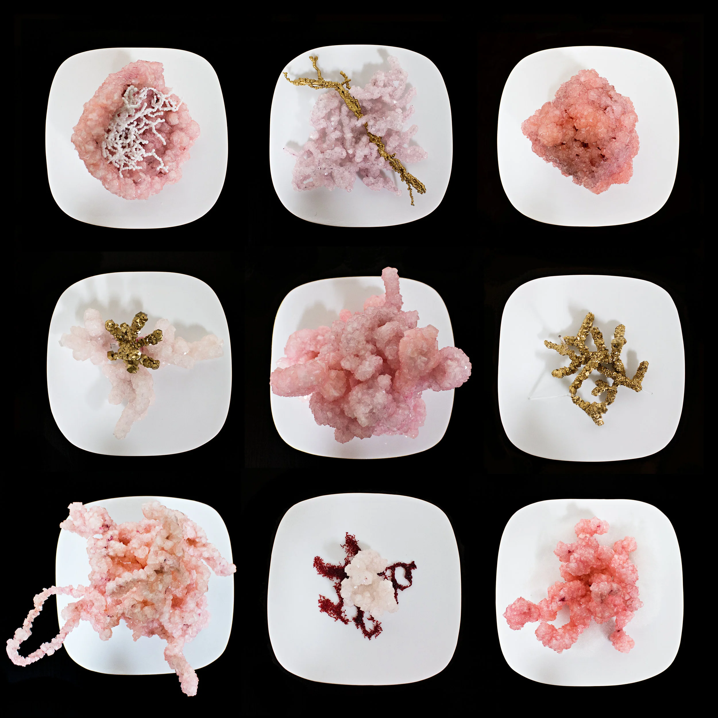 9 of the 16 crystal plates in the exhibition, 9 x 9 in plate, grown crystals, fused and flameworked glass, gold leaf