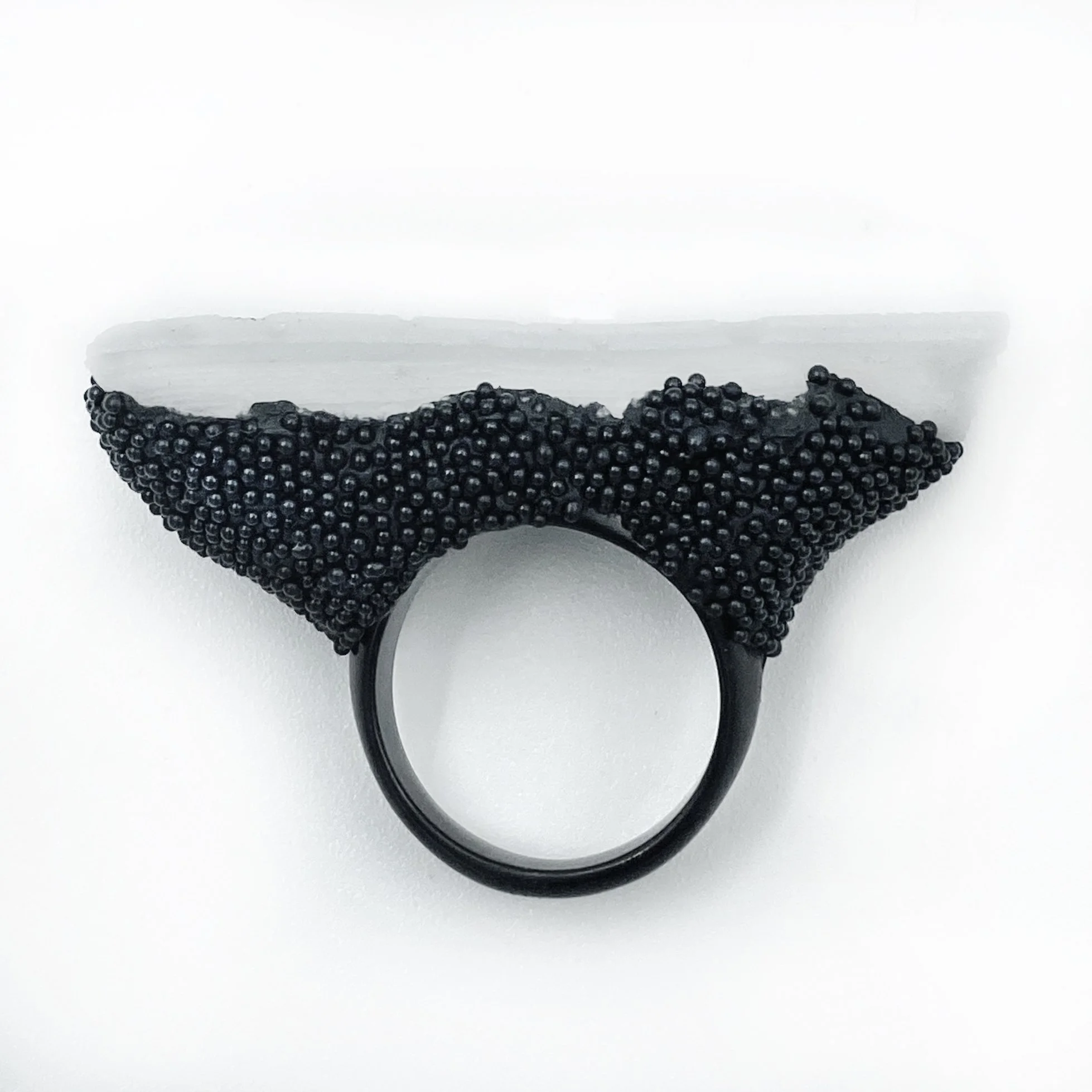 landscape_ring_blackandwhite.jpg