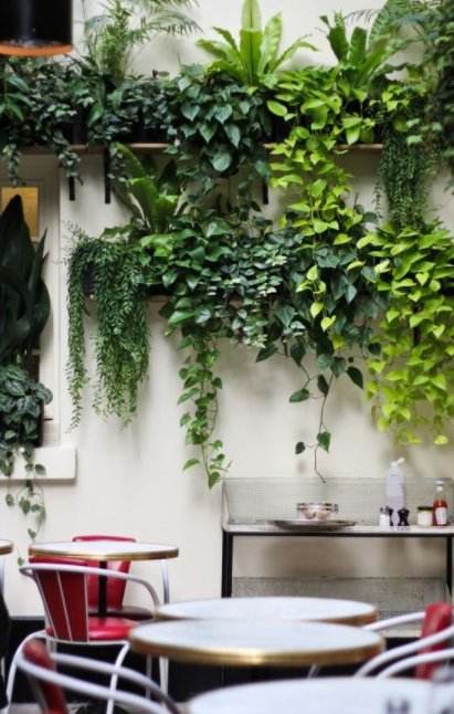 Image via Gardenista&nbsp;