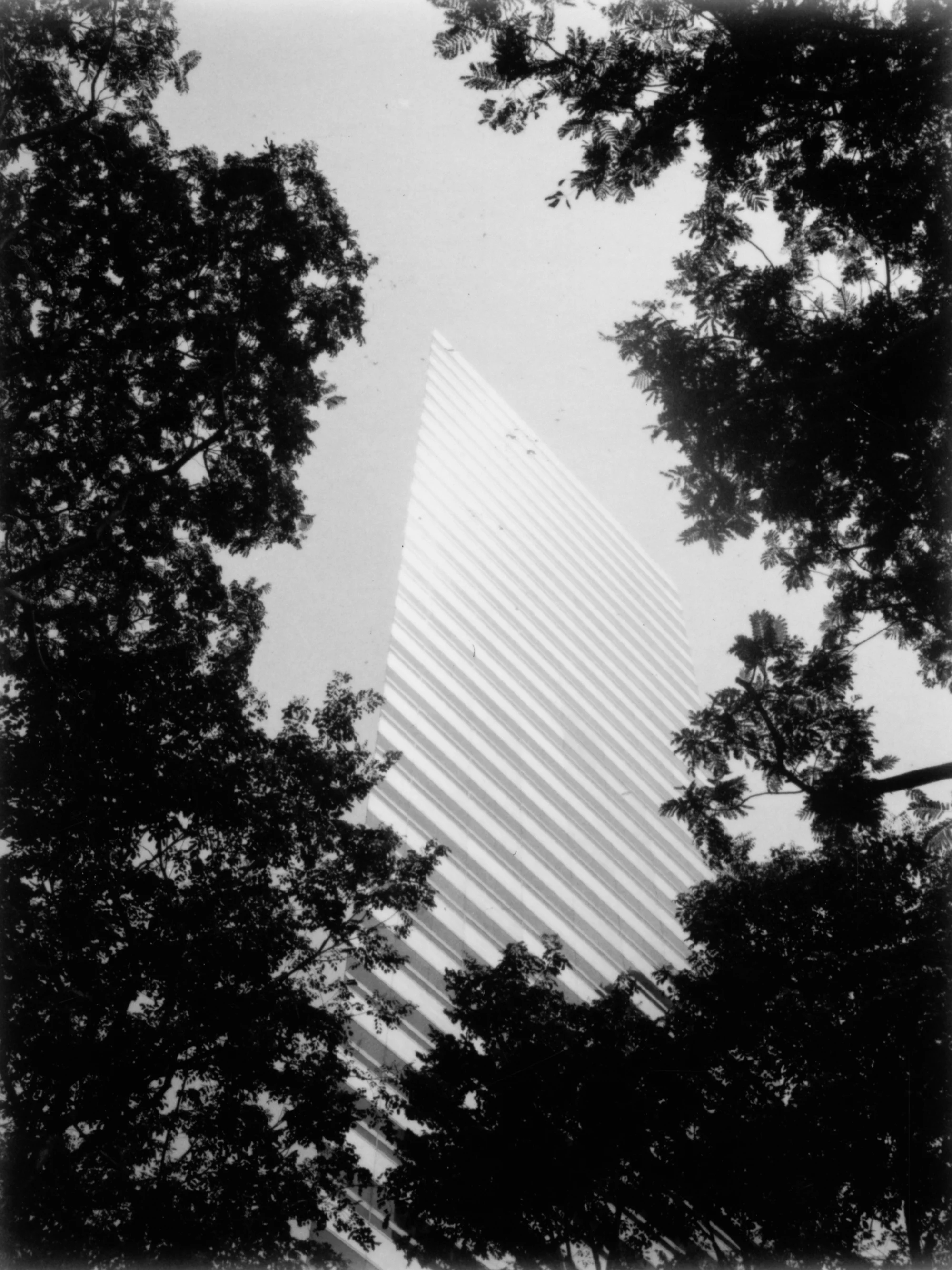 Untitled-5.jpg
