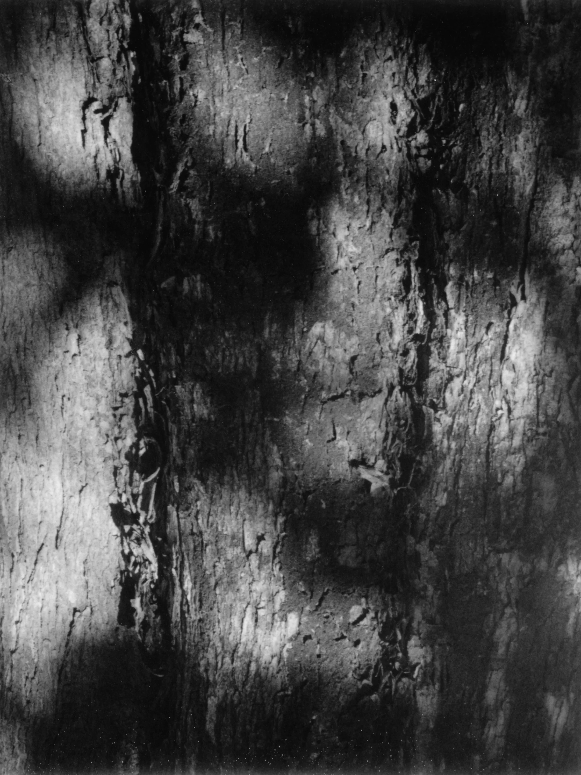Untitled-9.jpg