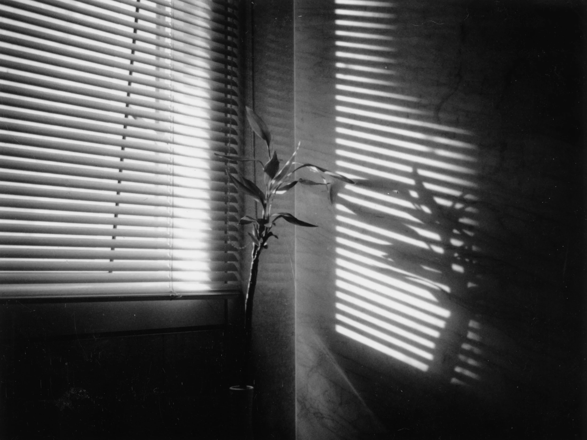 Untitled-11.jpg