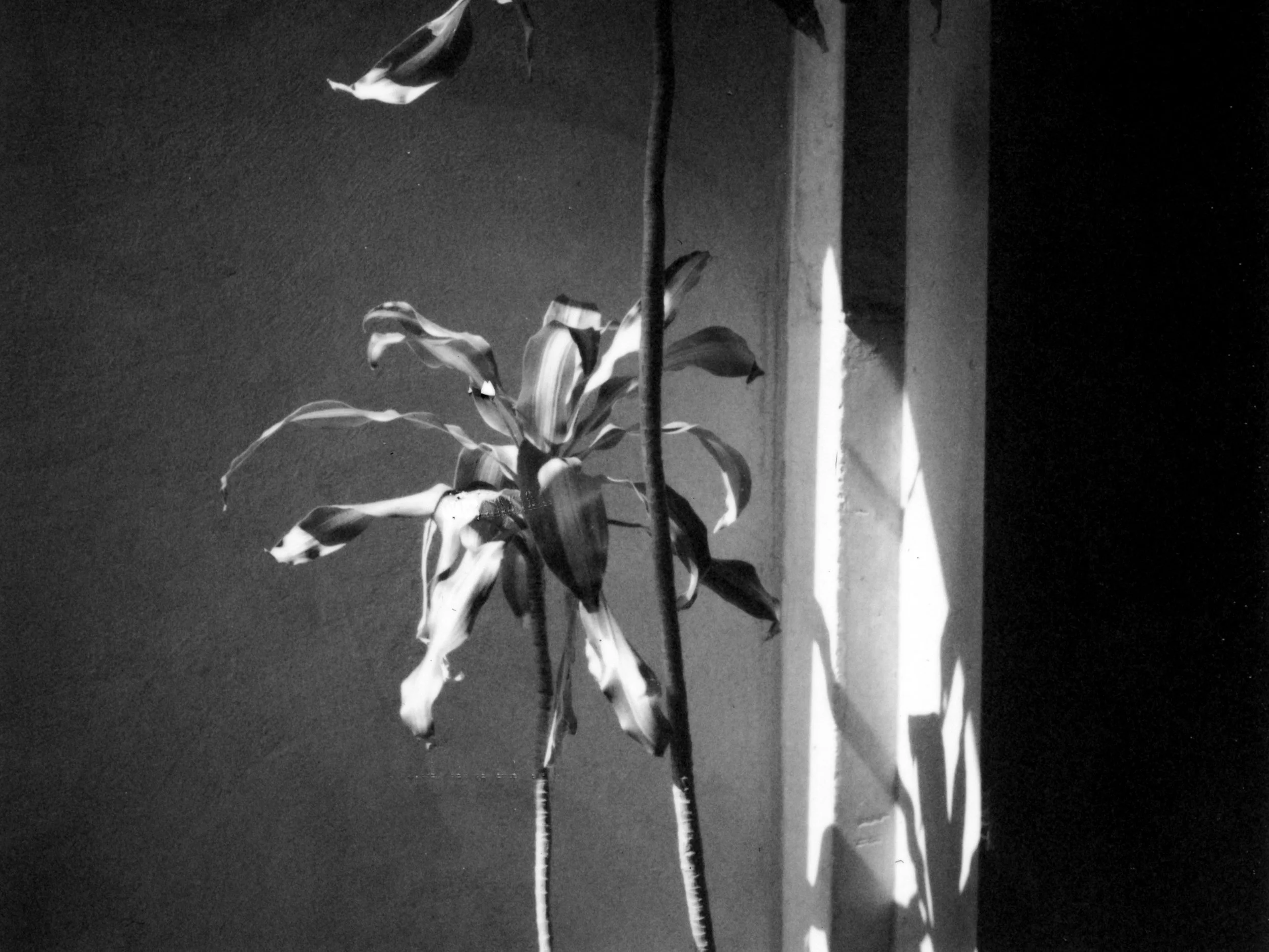 Untitled-12.jpg