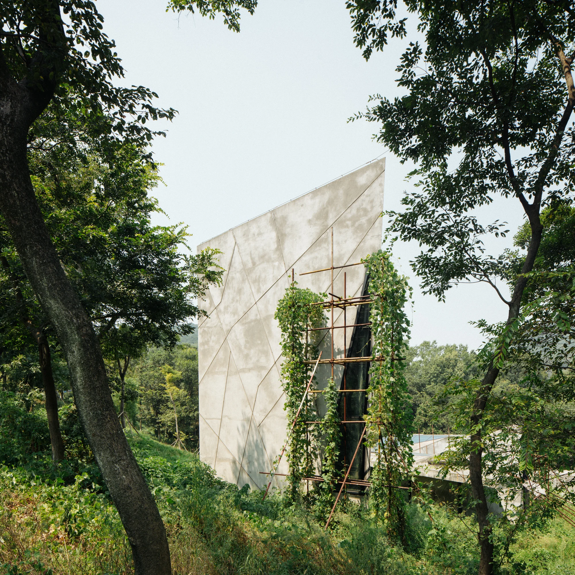 Nanjing Park-7.jpg