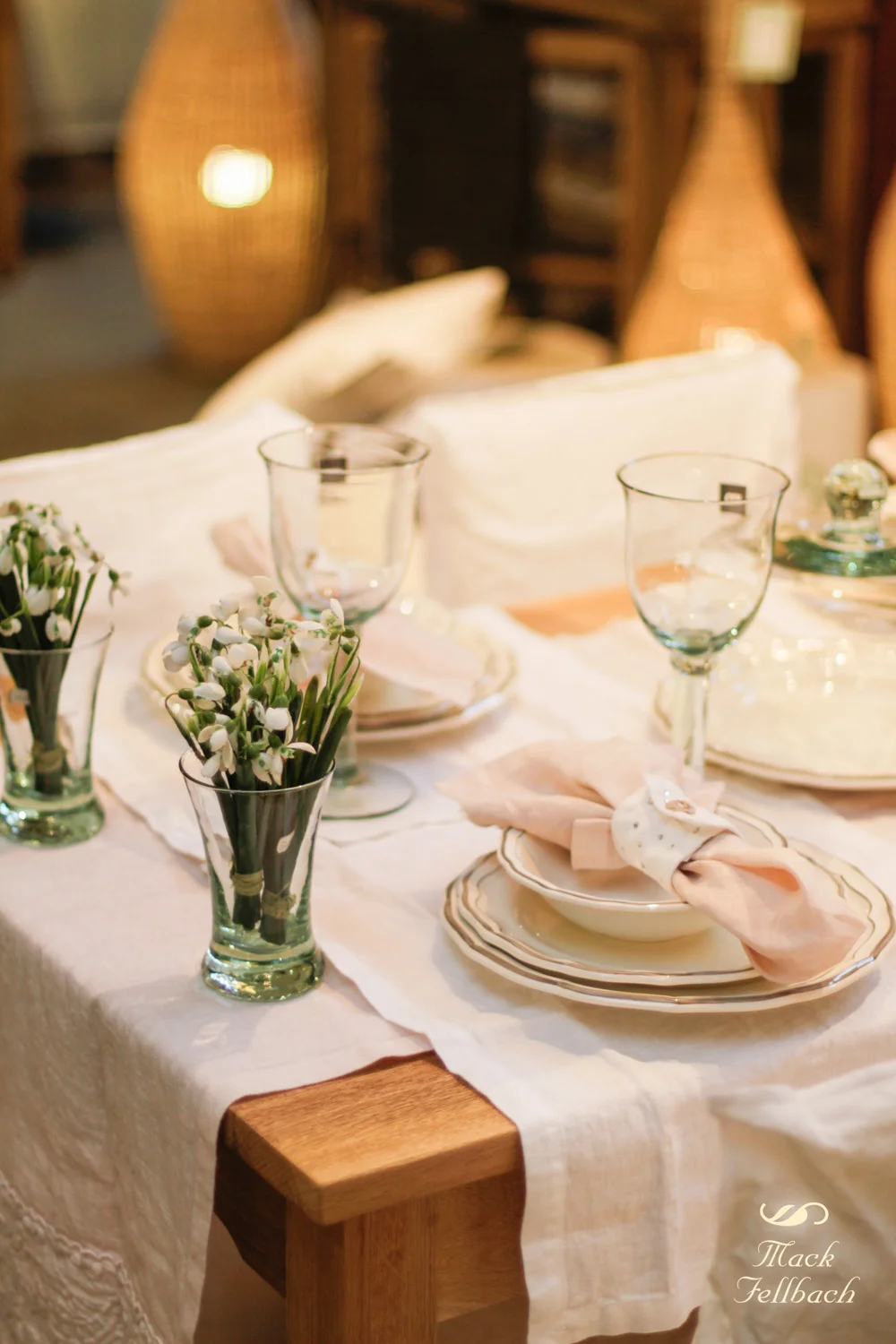 Frühlingserwachen bei Mack Fellbach.