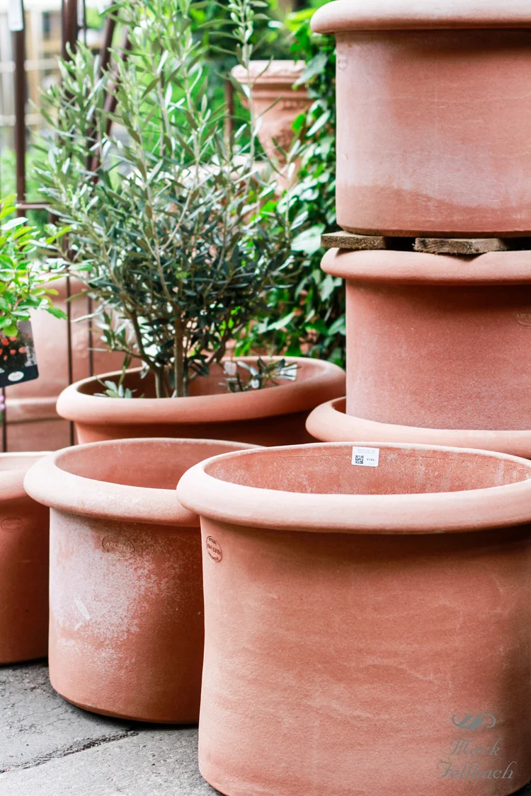 Terracotta