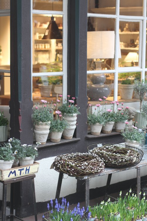 Garten  Mack Fellbach