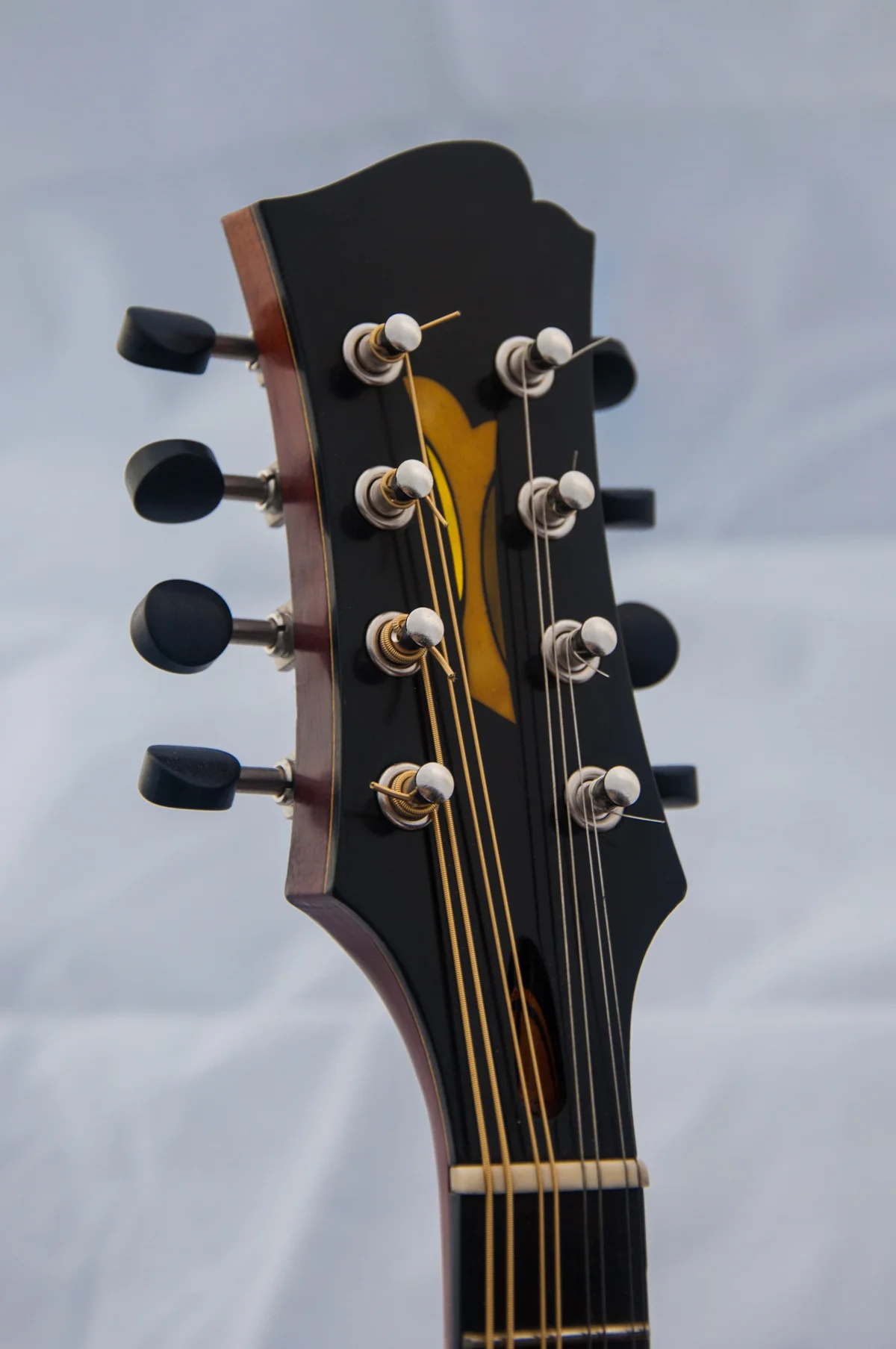 Amod-6347.jpg