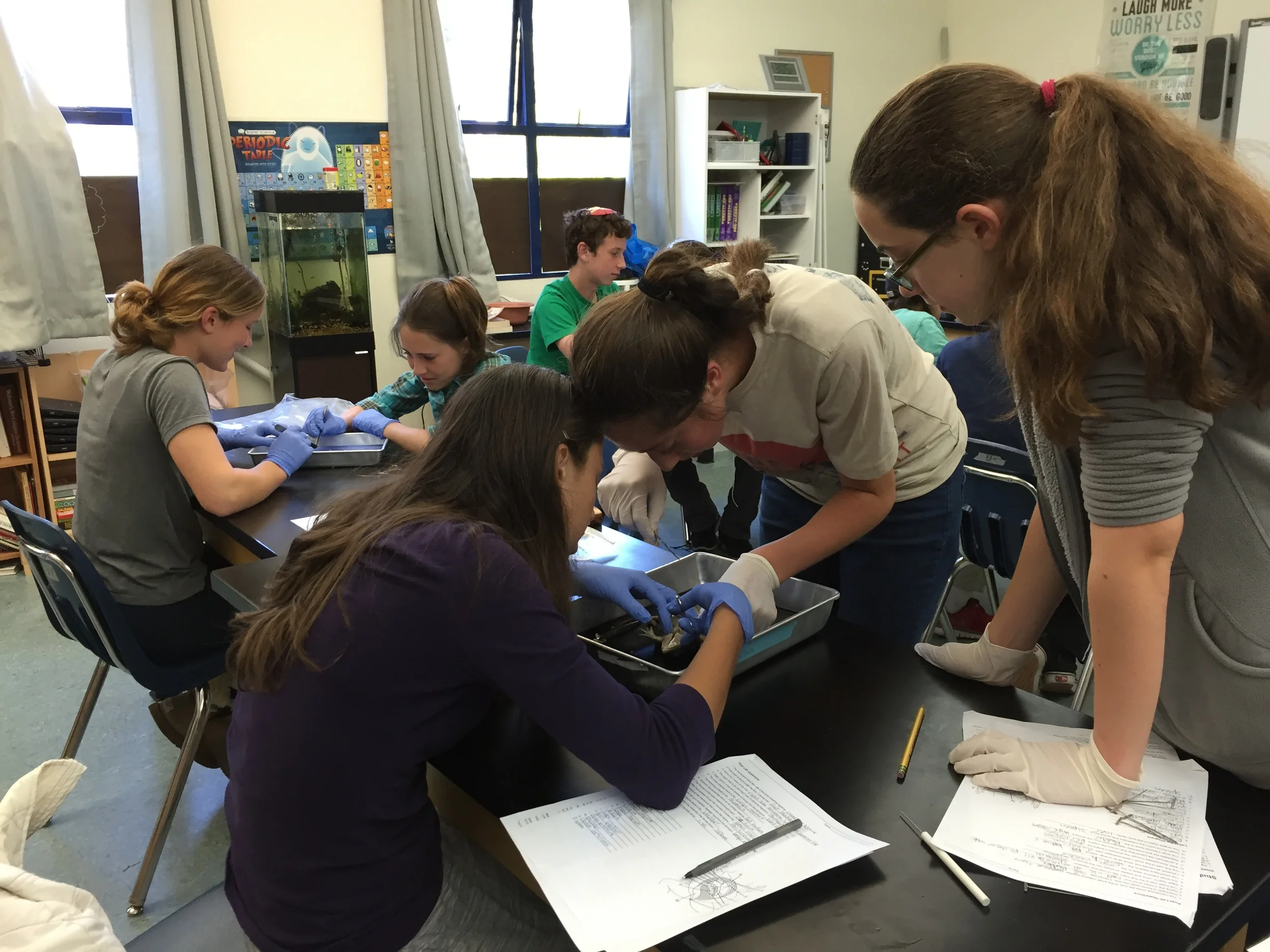  It involves a lot of team work to replicate all the steps and make important observations. 