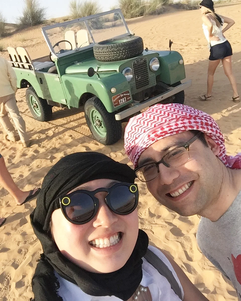 Sand Dunes and Falcons