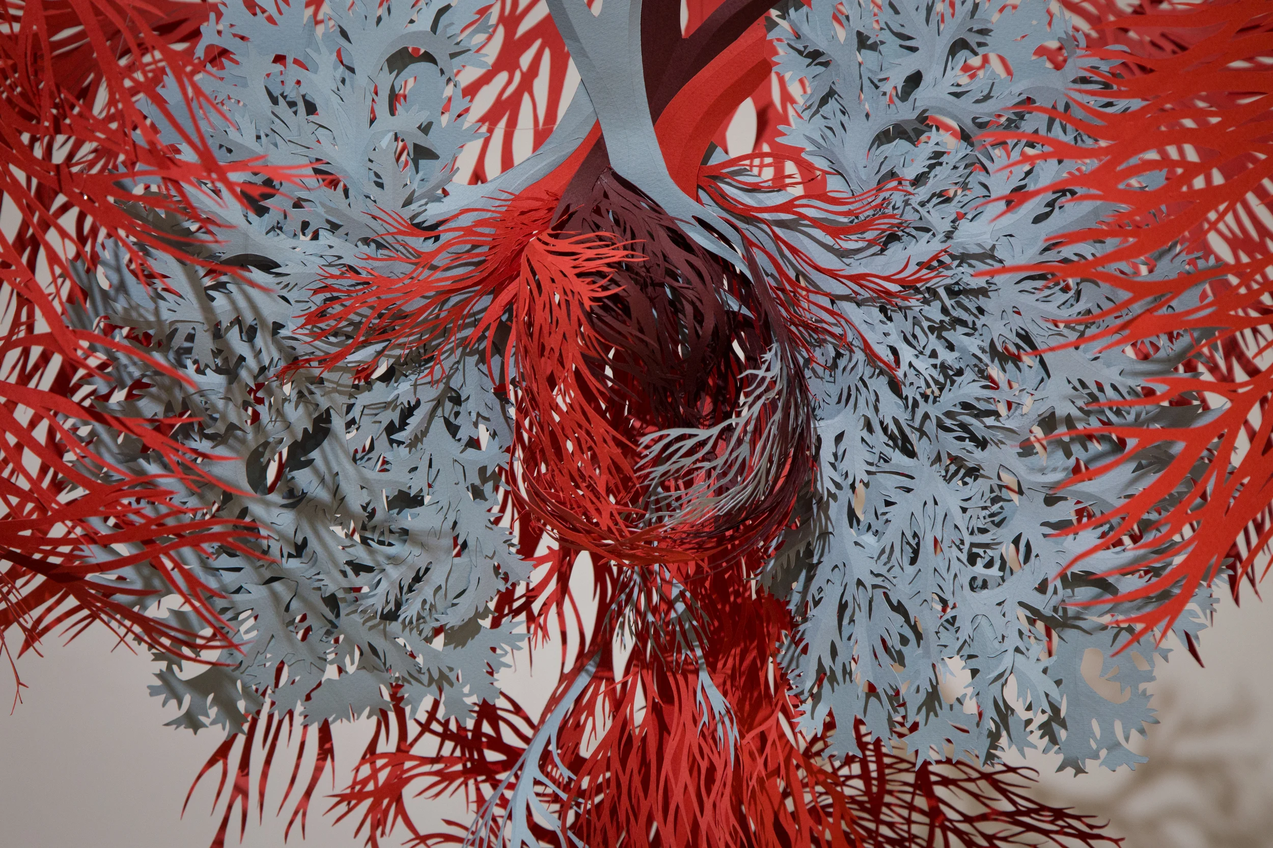 Anatomic — Andy Singleton - Artist