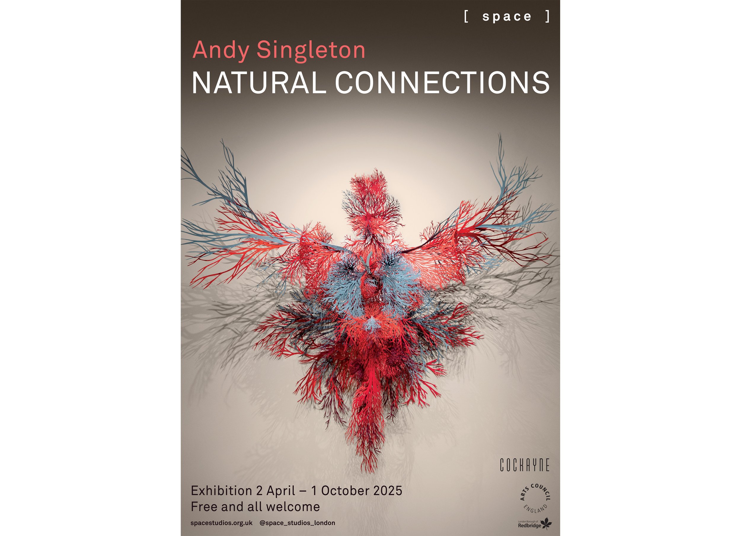 NATURAL CONNECTIONS