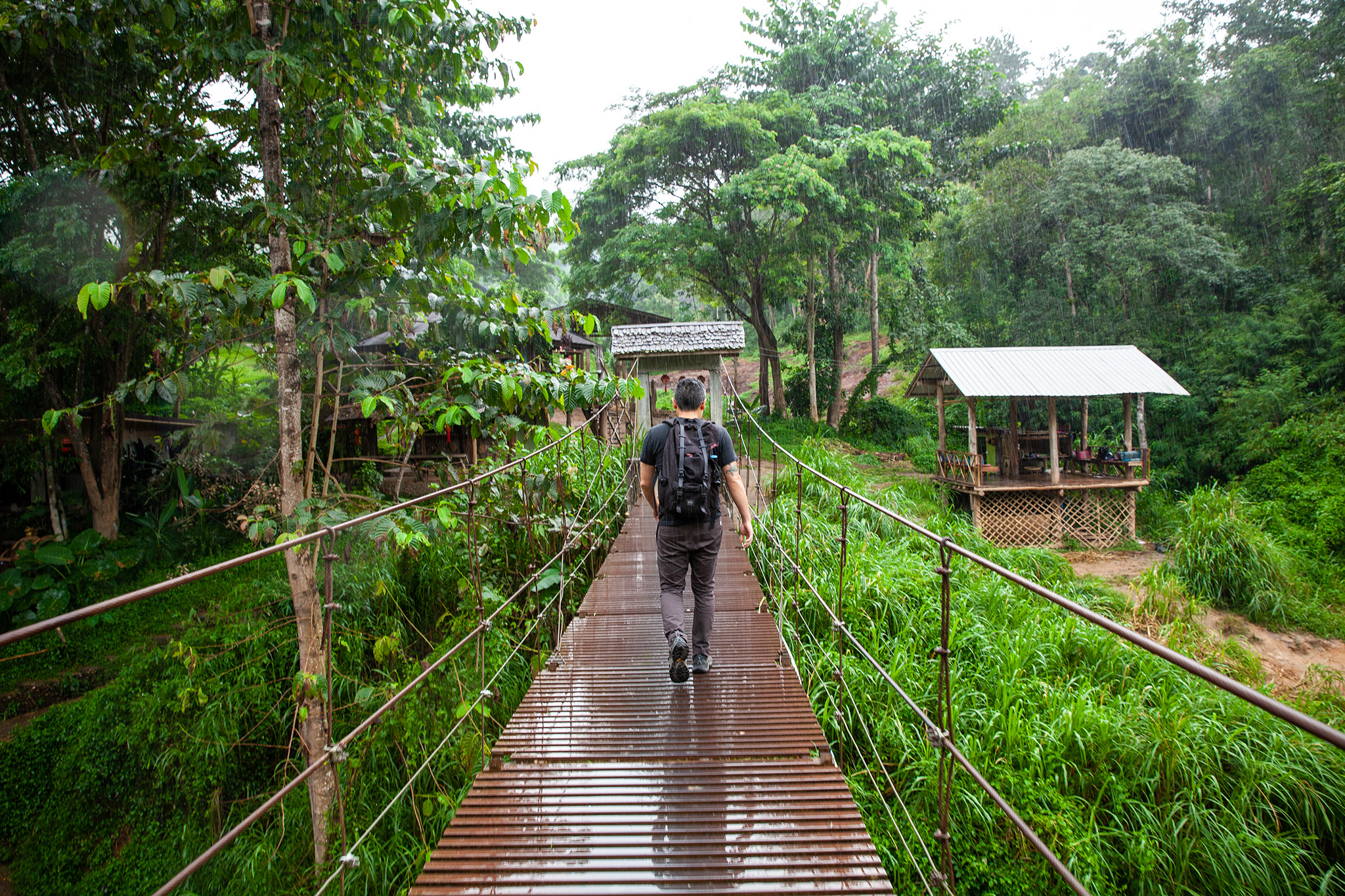 a little rain won’t keep us from our elephant adventure!