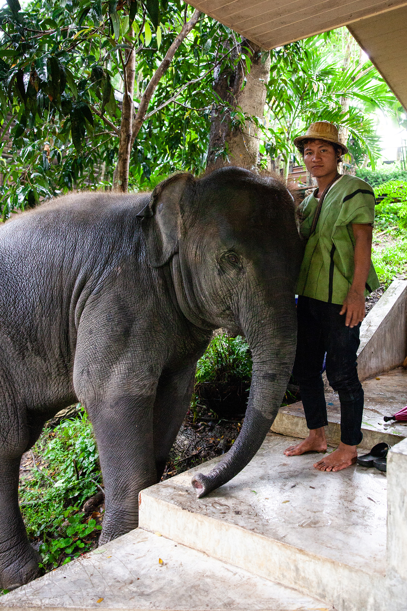 Tang Mo the elephant and her mahout Gola