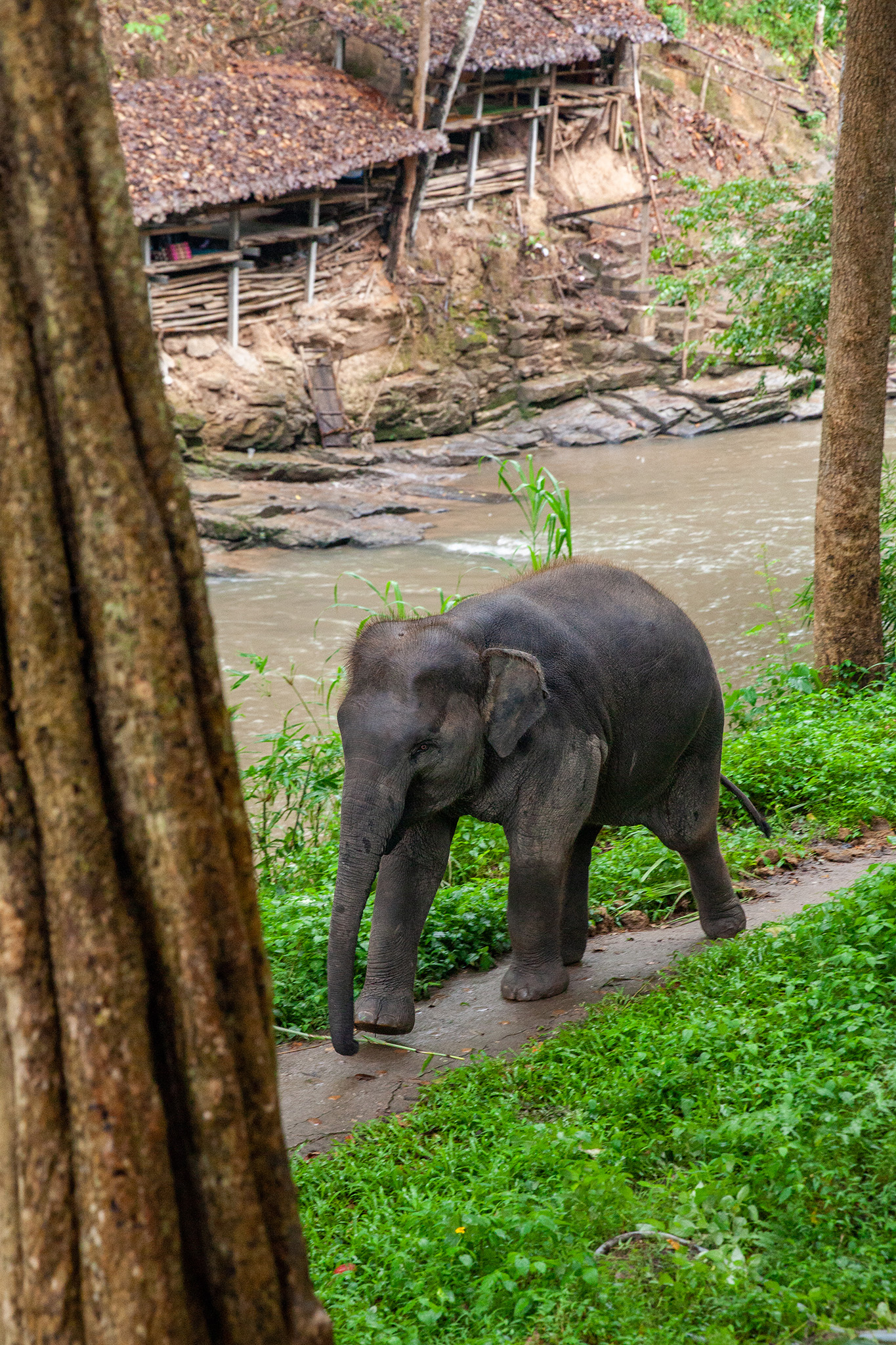 Chiang Mai, Thailand