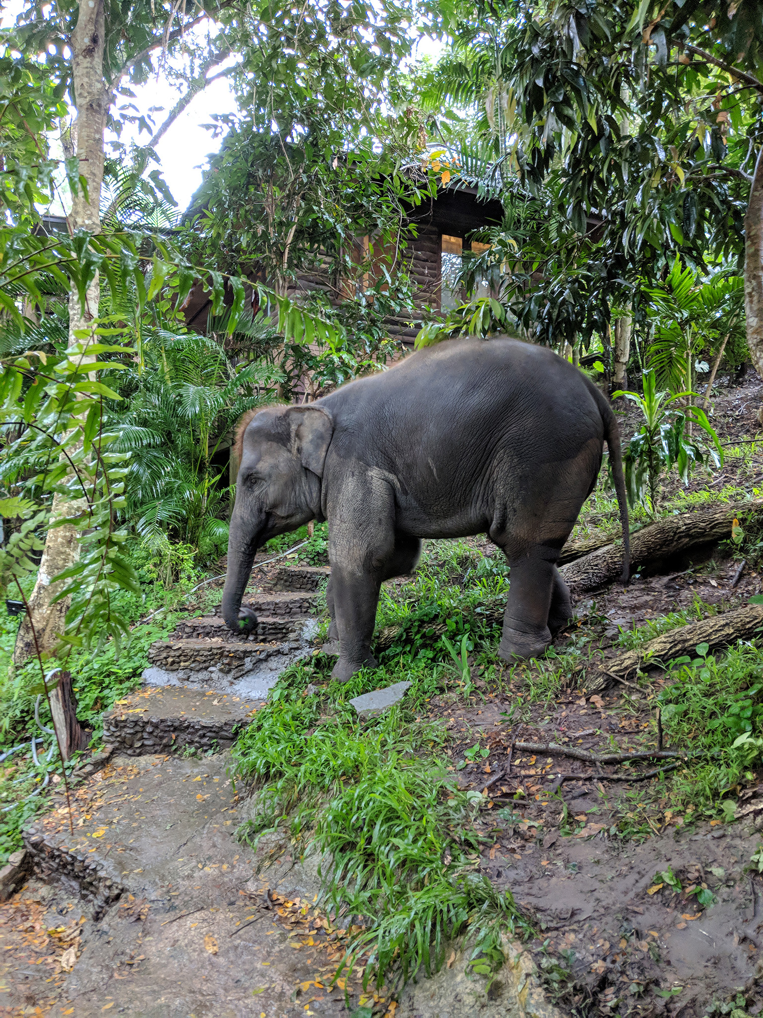 Chiang Mai, Thailand