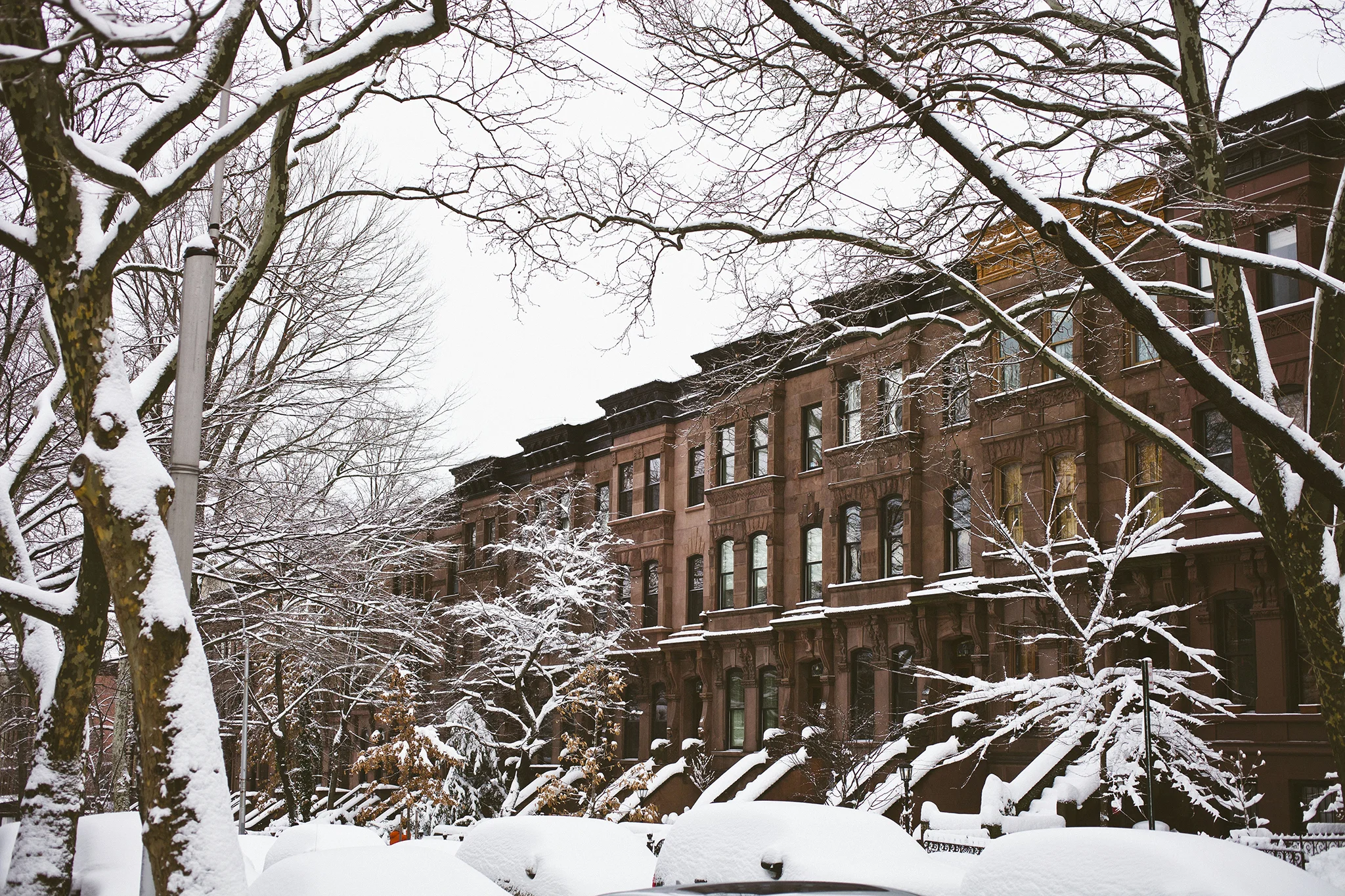 Snow in New York City