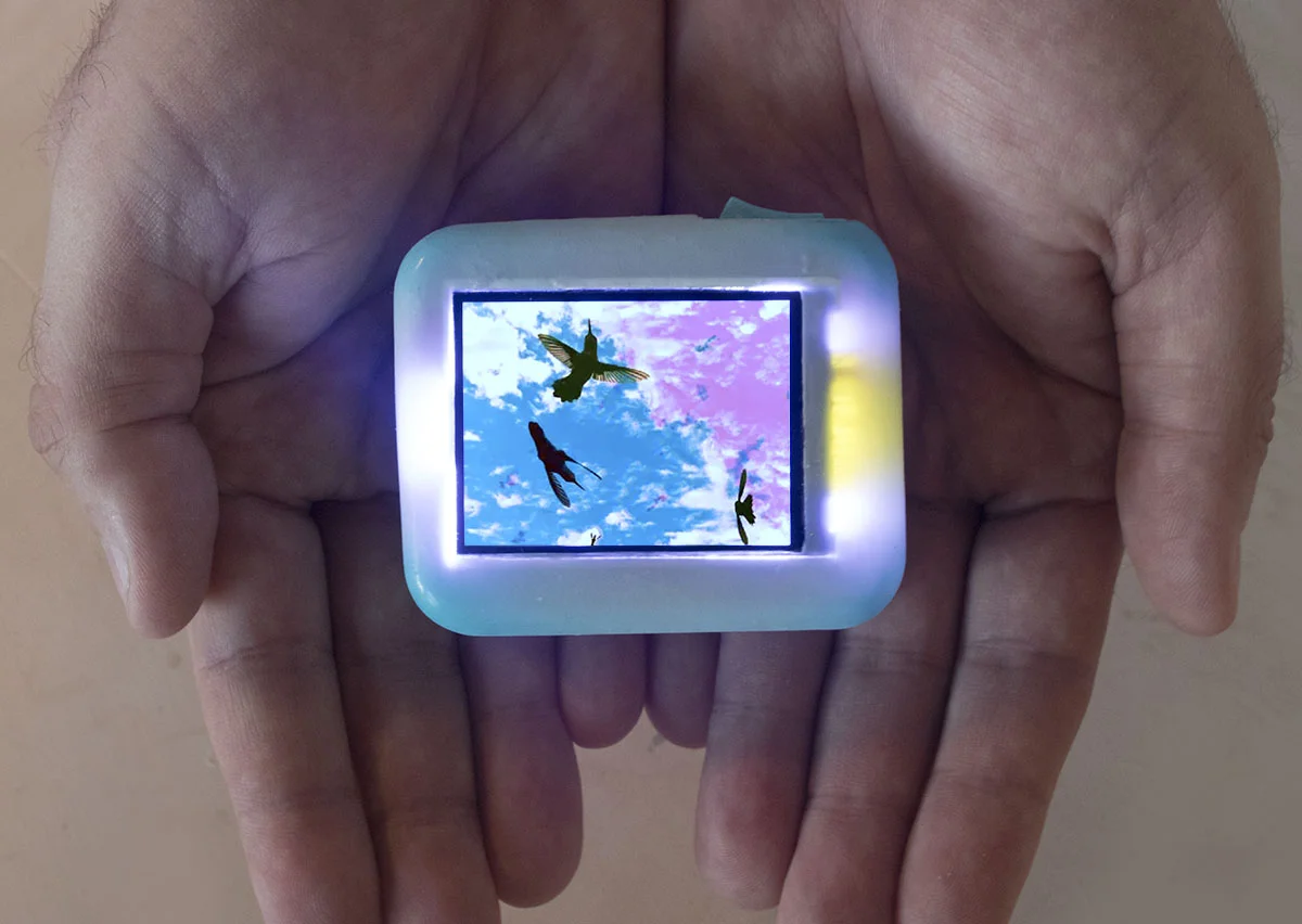 bluebirds-inhands.jpg