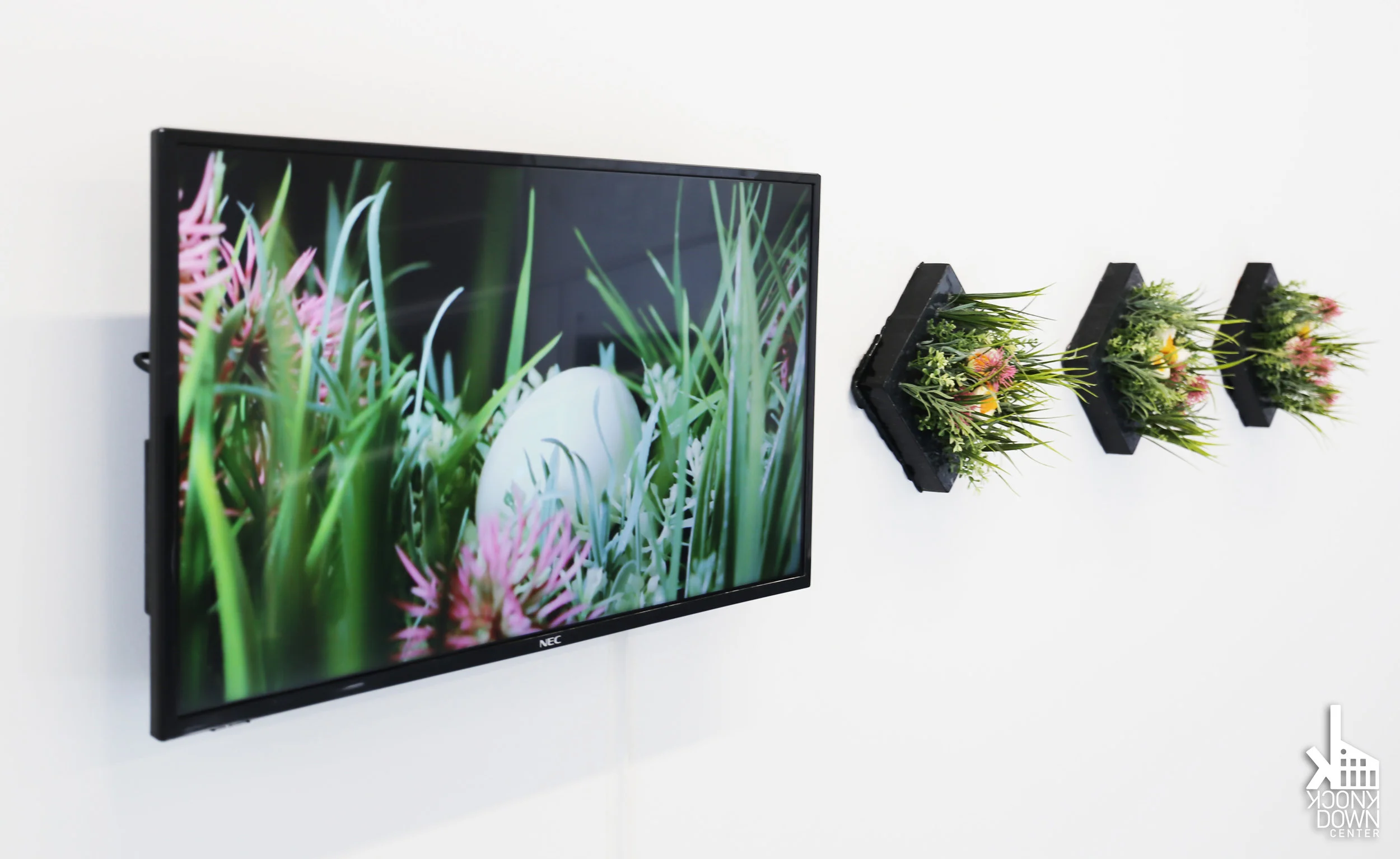 installation view of EGGBIRTH and Eggs #1-#3 at the Knockdown Center (Queens, NY) as part of the group exhibit Morir Soñando (2018) curated by Alex Santana