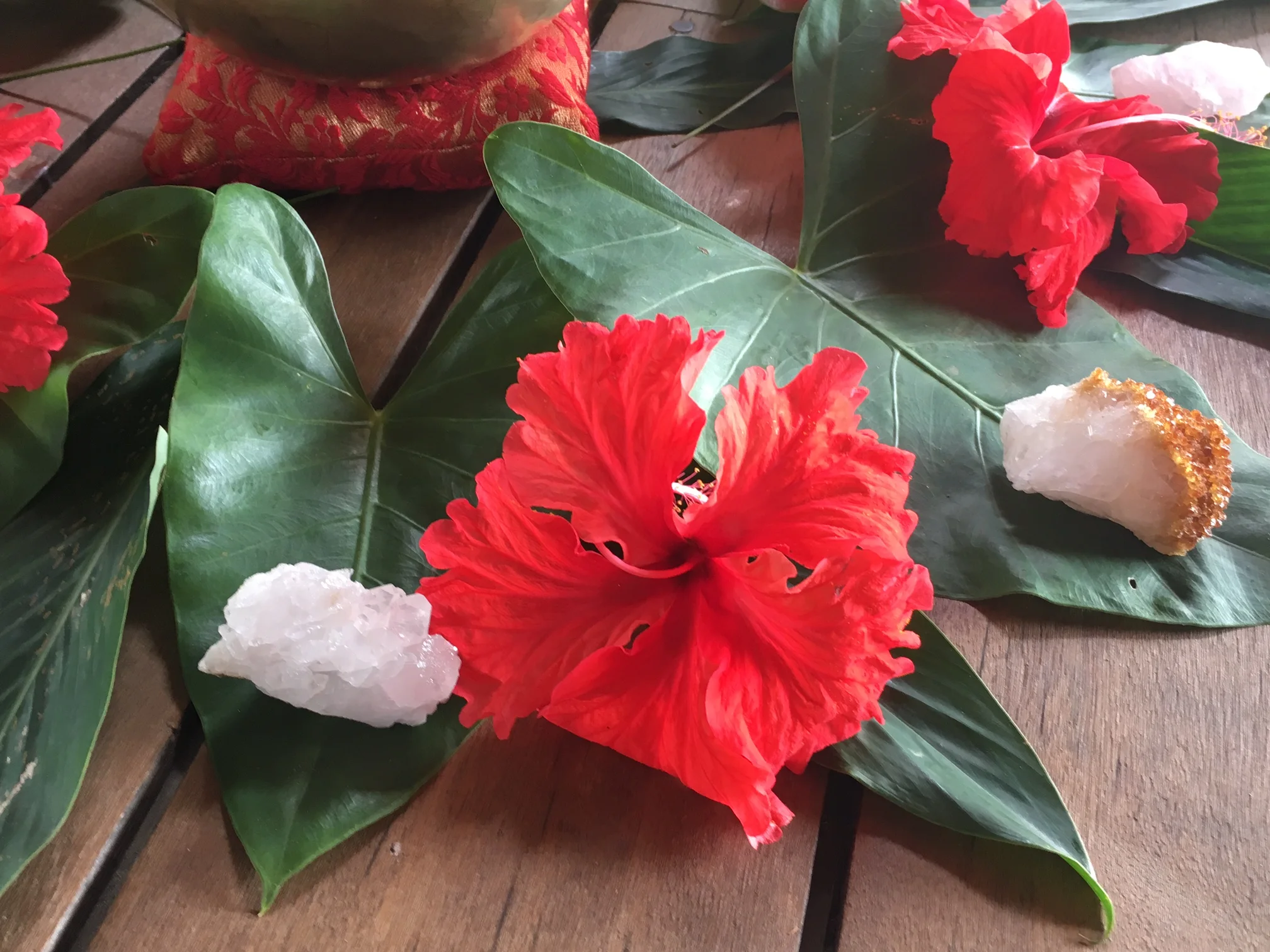 Step Into Yourself Yoga Retreat