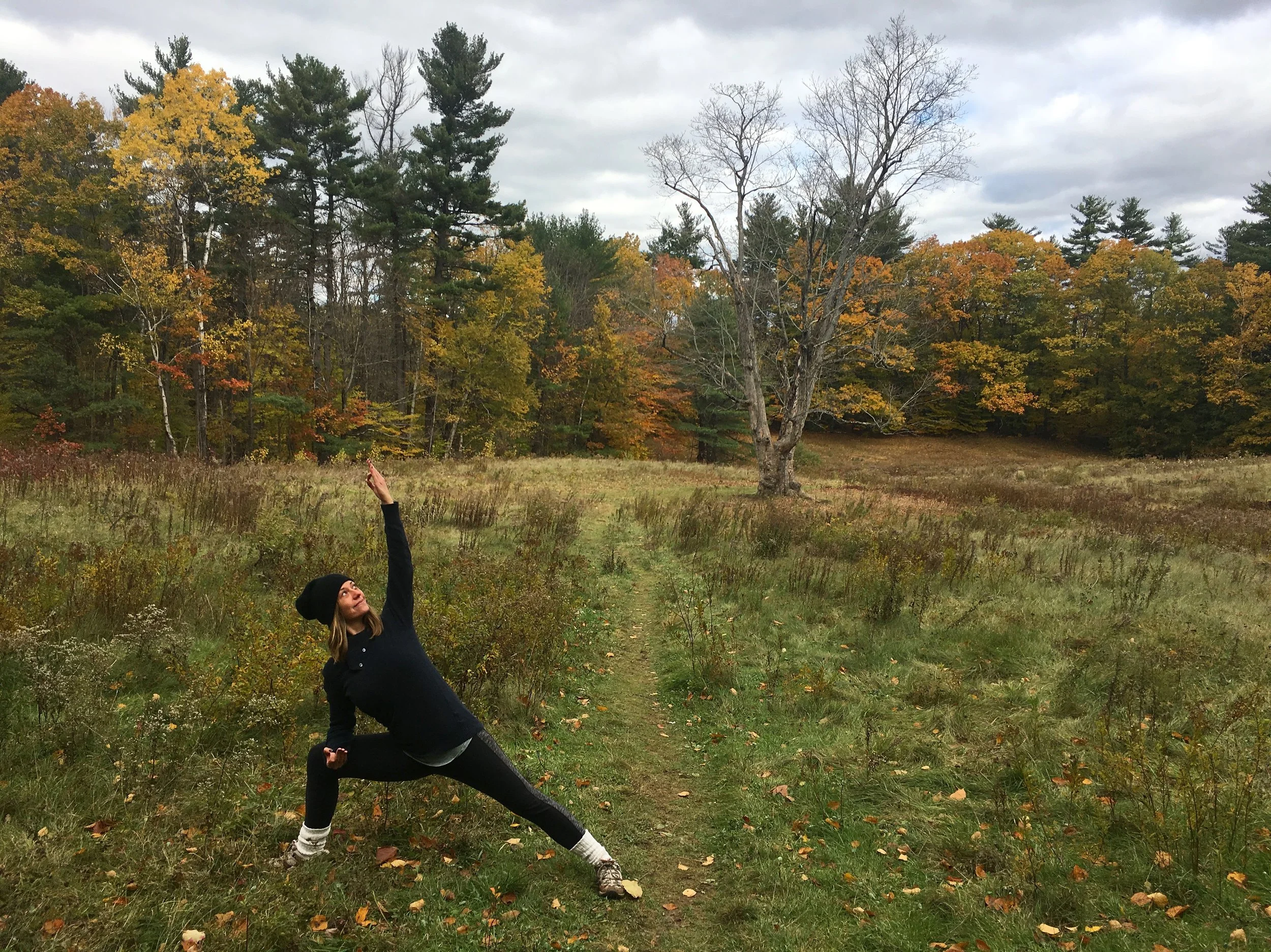 Foundations of Vinyasa Yoga